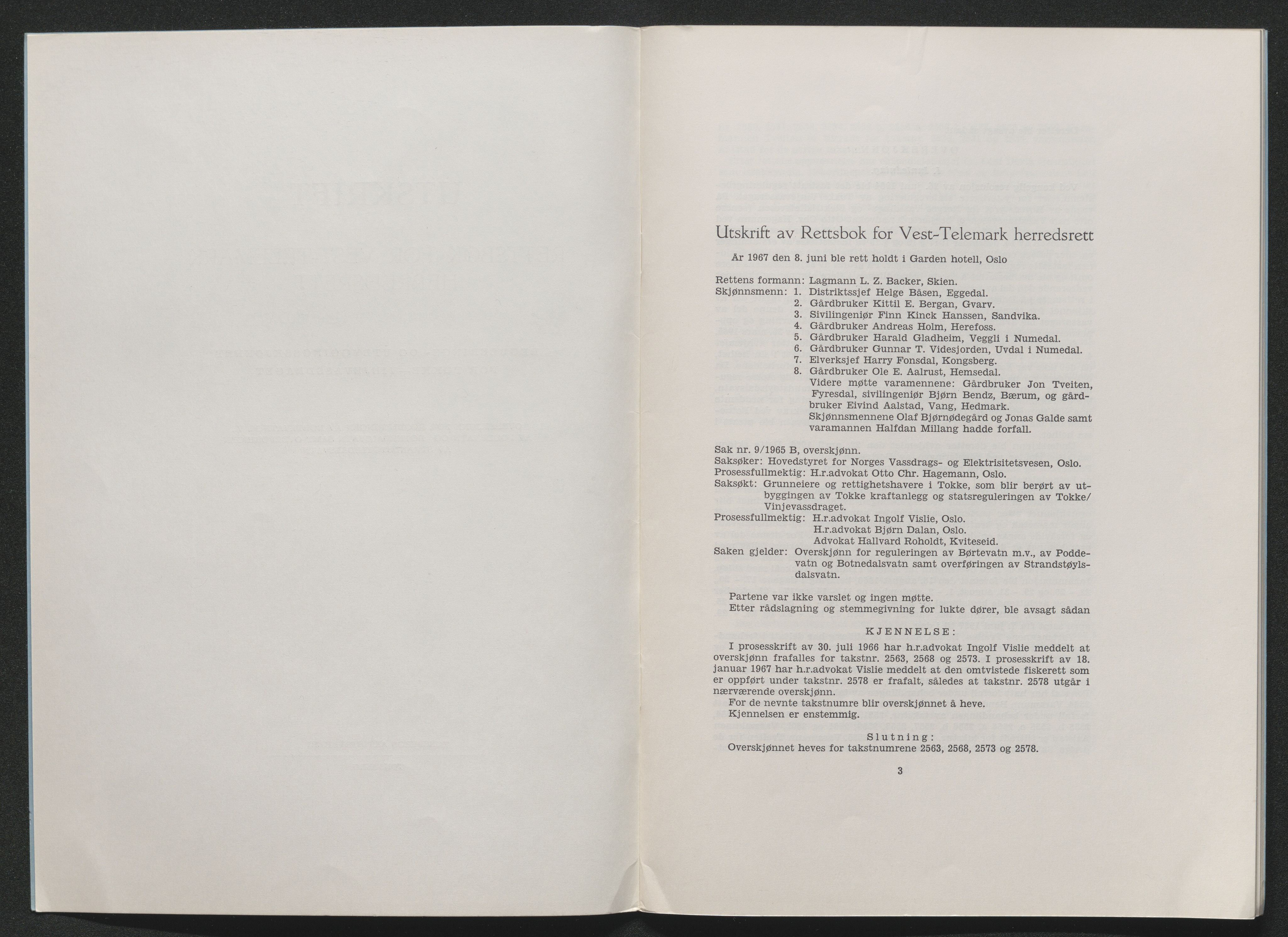 Vest-Telemark sorenskriveri, AV/SAKO-A-134/F/Fo/Foc/L0002: Tokke og Vinjevassdraget rettsbøker, 1964-1973, p. 534