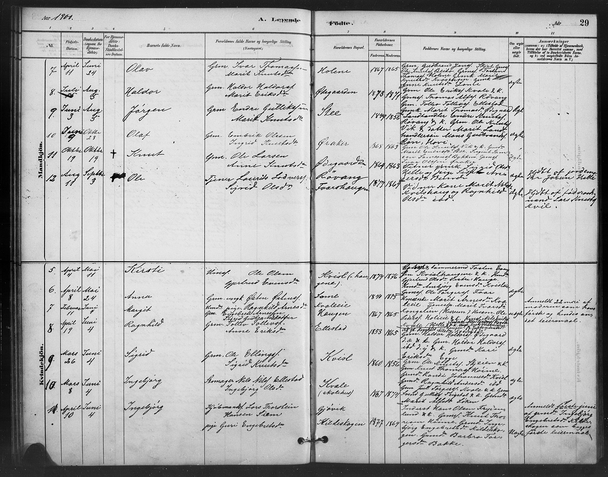 Vestre Slidre prestekontor, SAH/PREST-136/H/Ha/Hab/L0006: Parish register (copy) no. 6, 1881-1915, p. 29