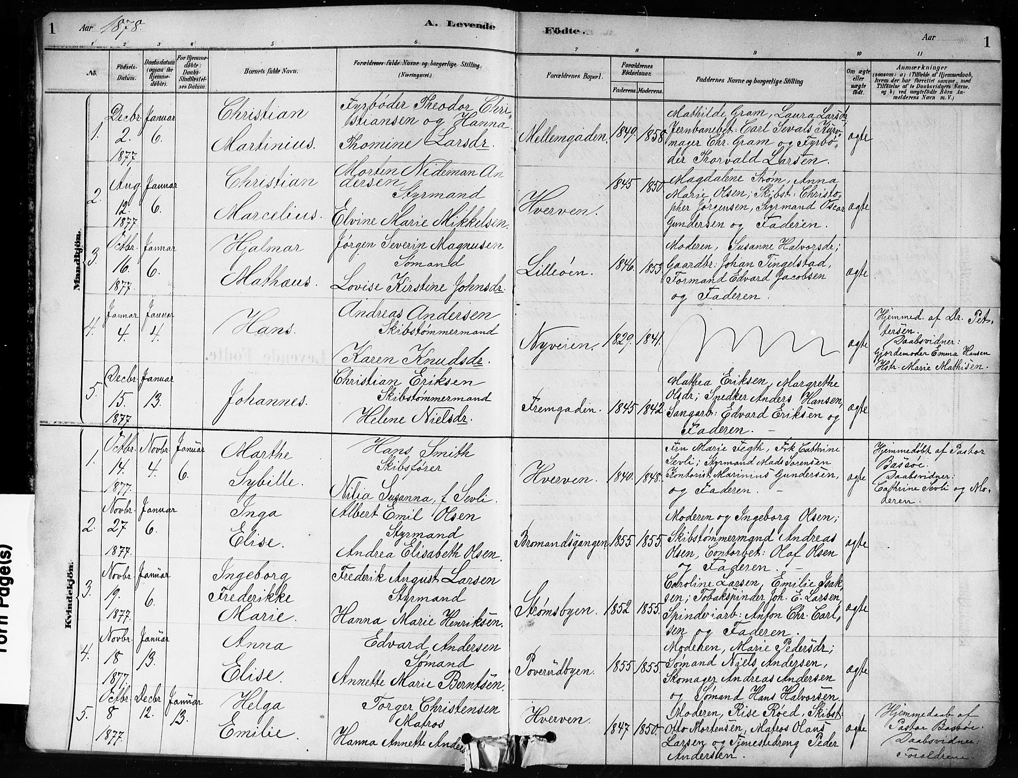 Strømsø kirkebøker, AV/SAKO-A-246/F/Fa/L0021: Parish register (official) no. I 21, 1878-1885, p. 1