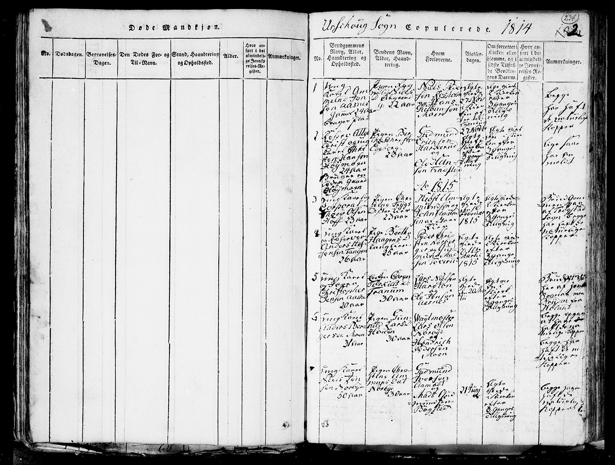 Aurskog prestekontor Kirkebøker, SAO/A-10304a/G/Ga/L0001: Parish register (copy) no. I 1, 1814-1829, p. 234