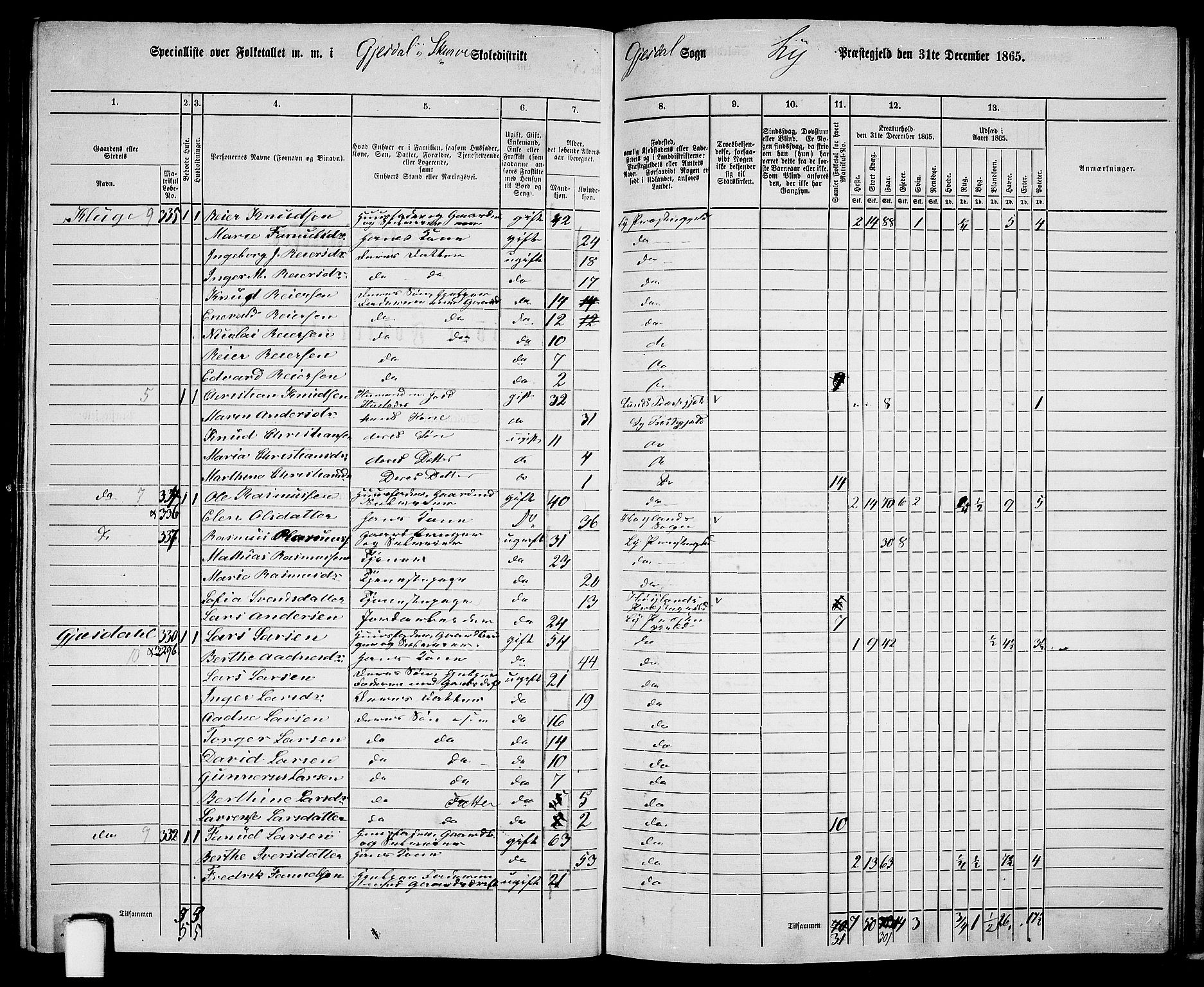 RA, 1865 census for Lye, 1865, p. 126