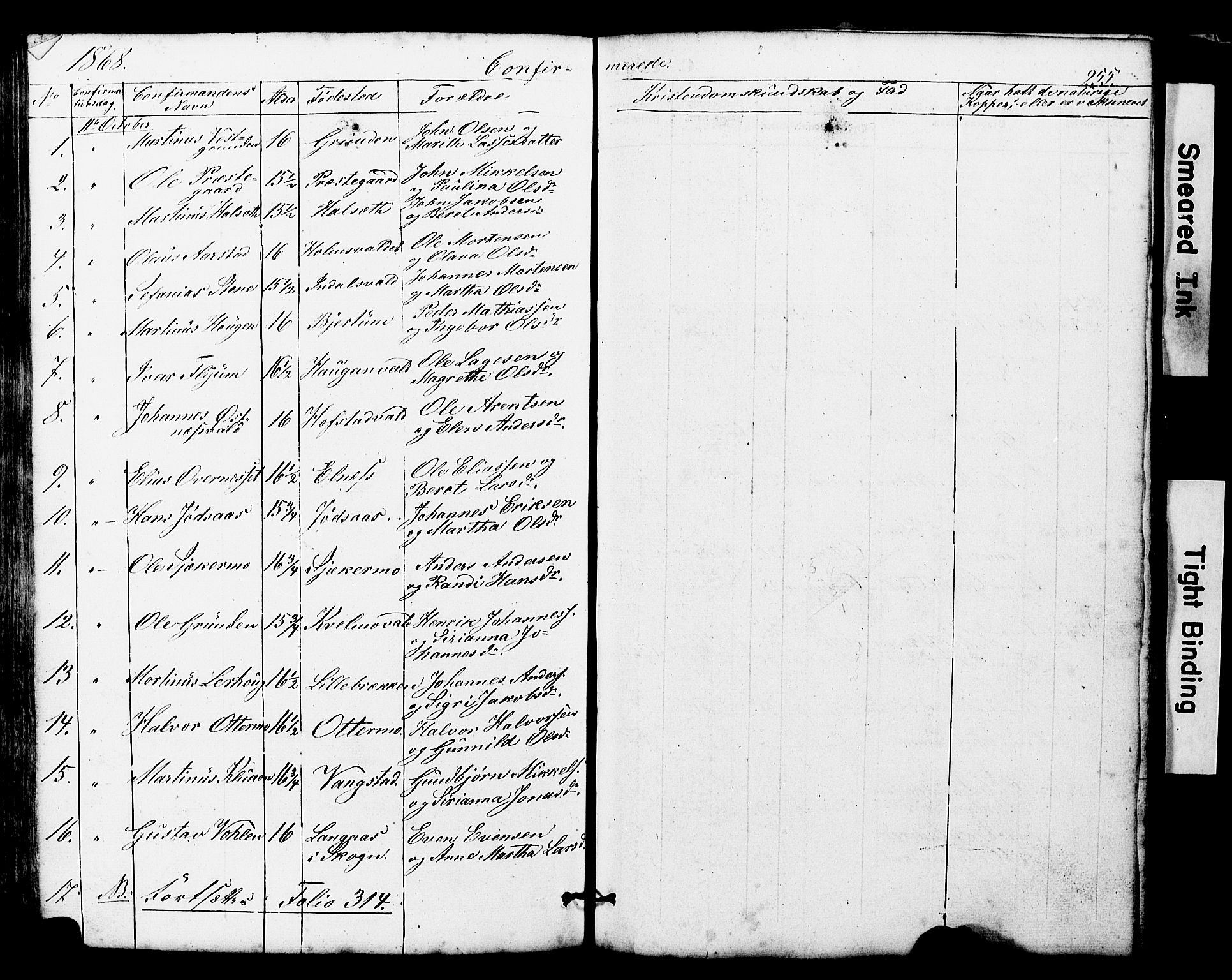 Ministerialprotokoller, klokkerbøker og fødselsregistre - Nord-Trøndelag, AV/SAT-A-1458/724/L0268: Parish register (copy) no. 724C04, 1846-1878, p. 255