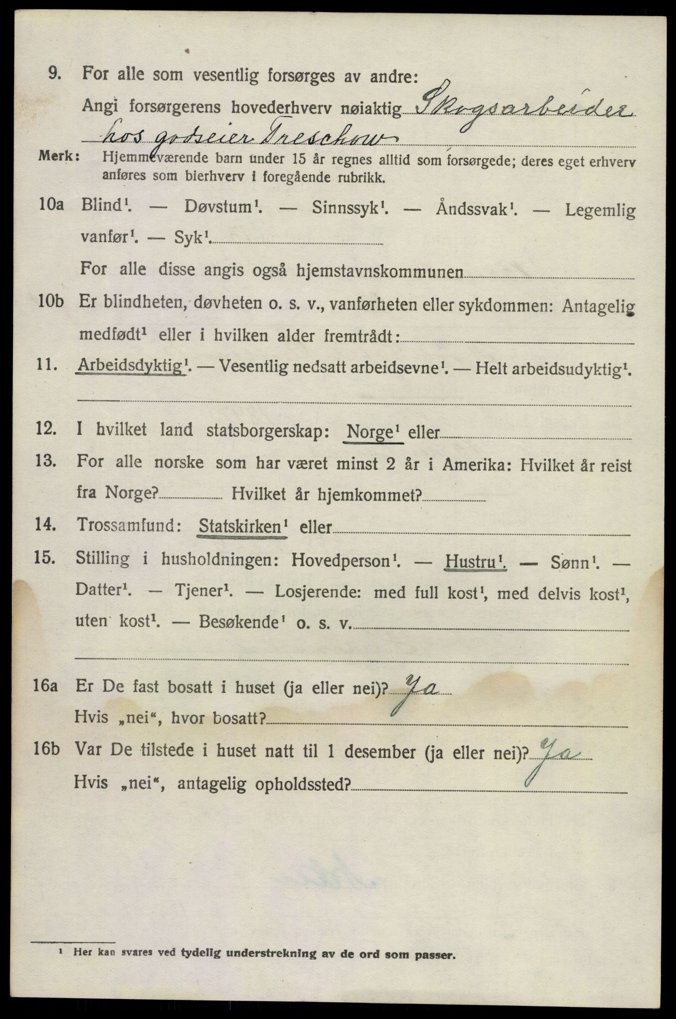 SAKO, 1920 census for Brunlanes, 1920, p. 10824