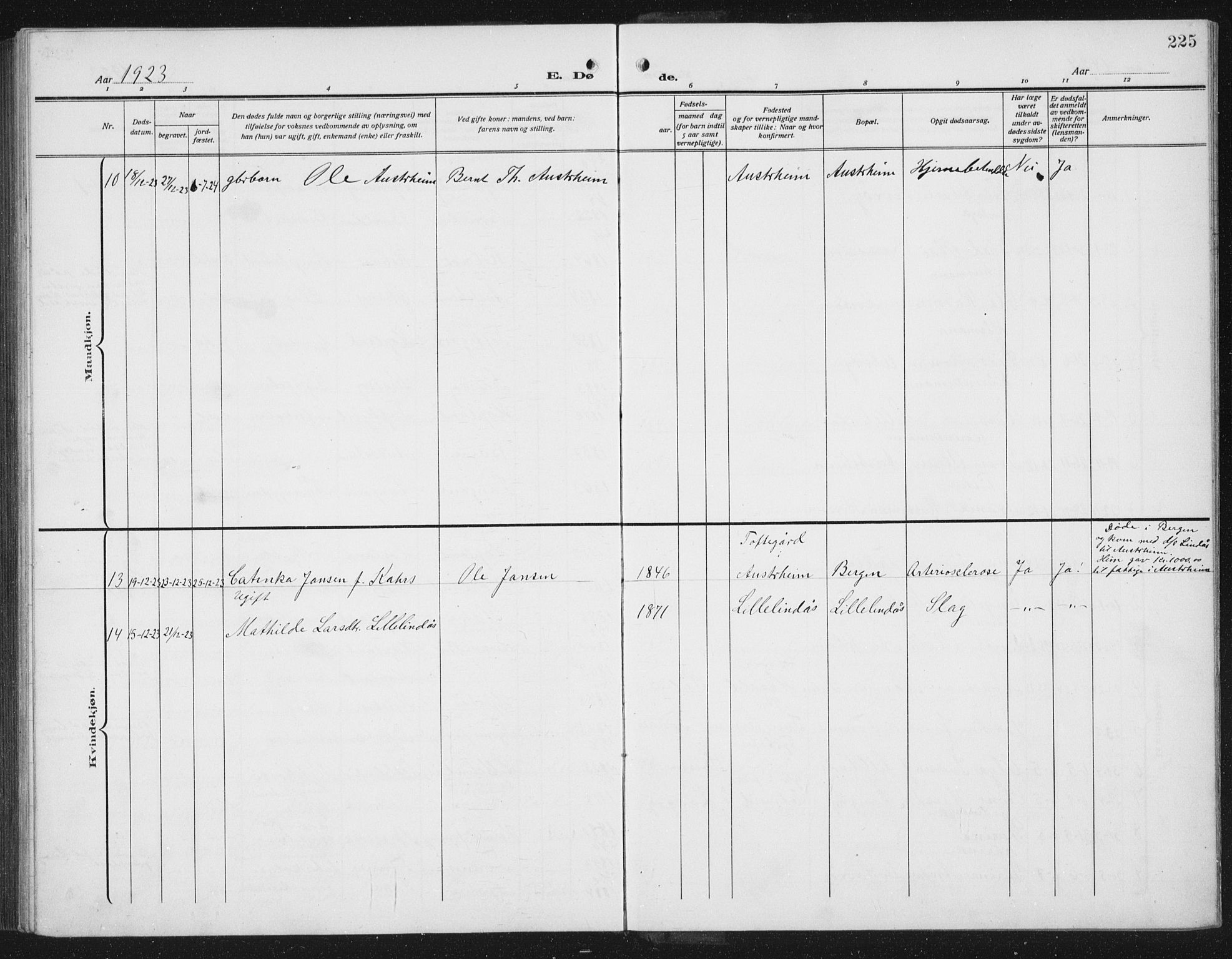 Lindås Sokneprestembete, AV/SAB-A-76701/H/Hab/Habc/L0005: Parish register (copy) no. C 5, 1910-1927, p. 225