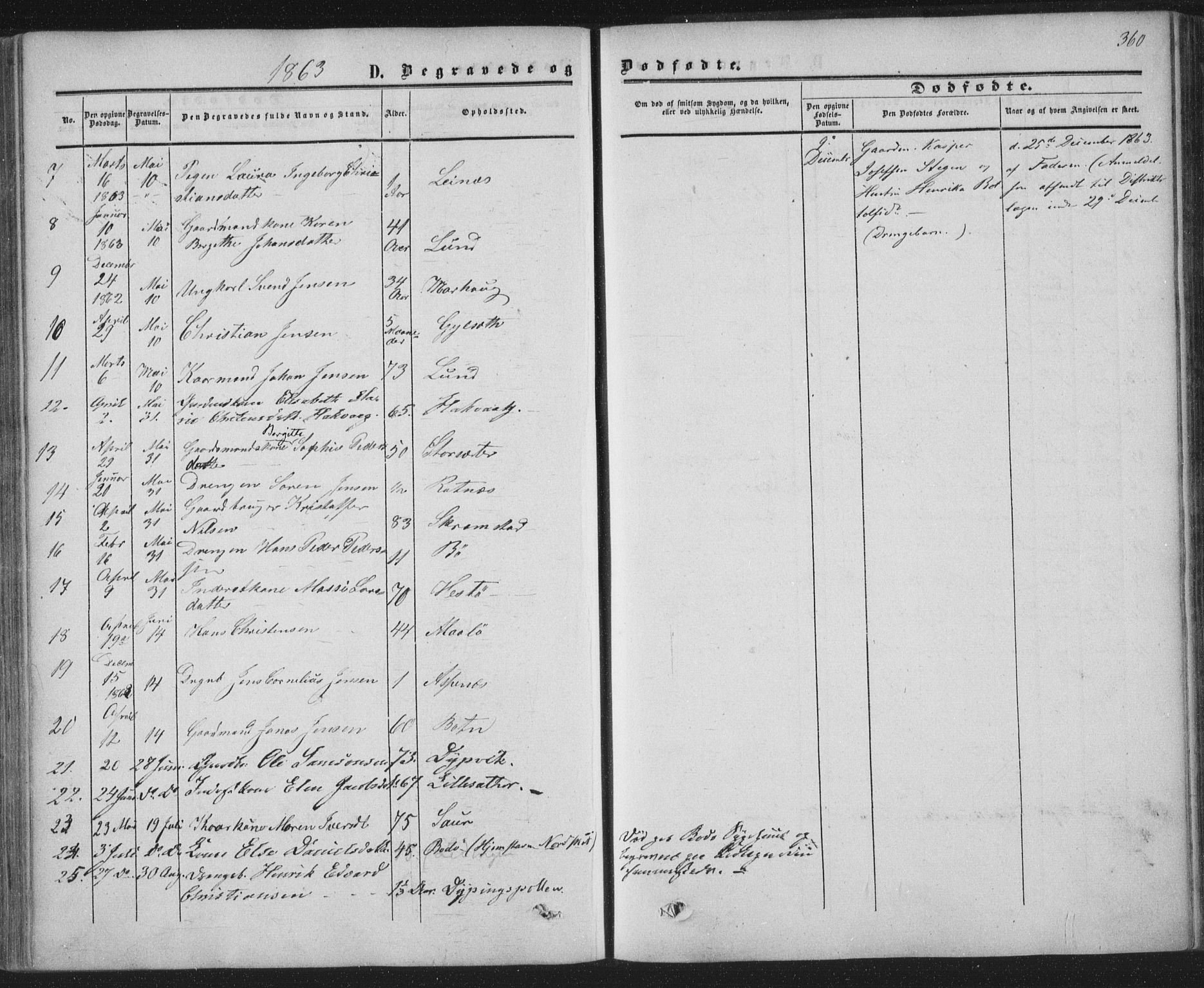 Ministerialprotokoller, klokkerbøker og fødselsregistre - Nordland, AV/SAT-A-1459/855/L0800: Parish register (official) no. 855A08, 1852-1864, p. 360