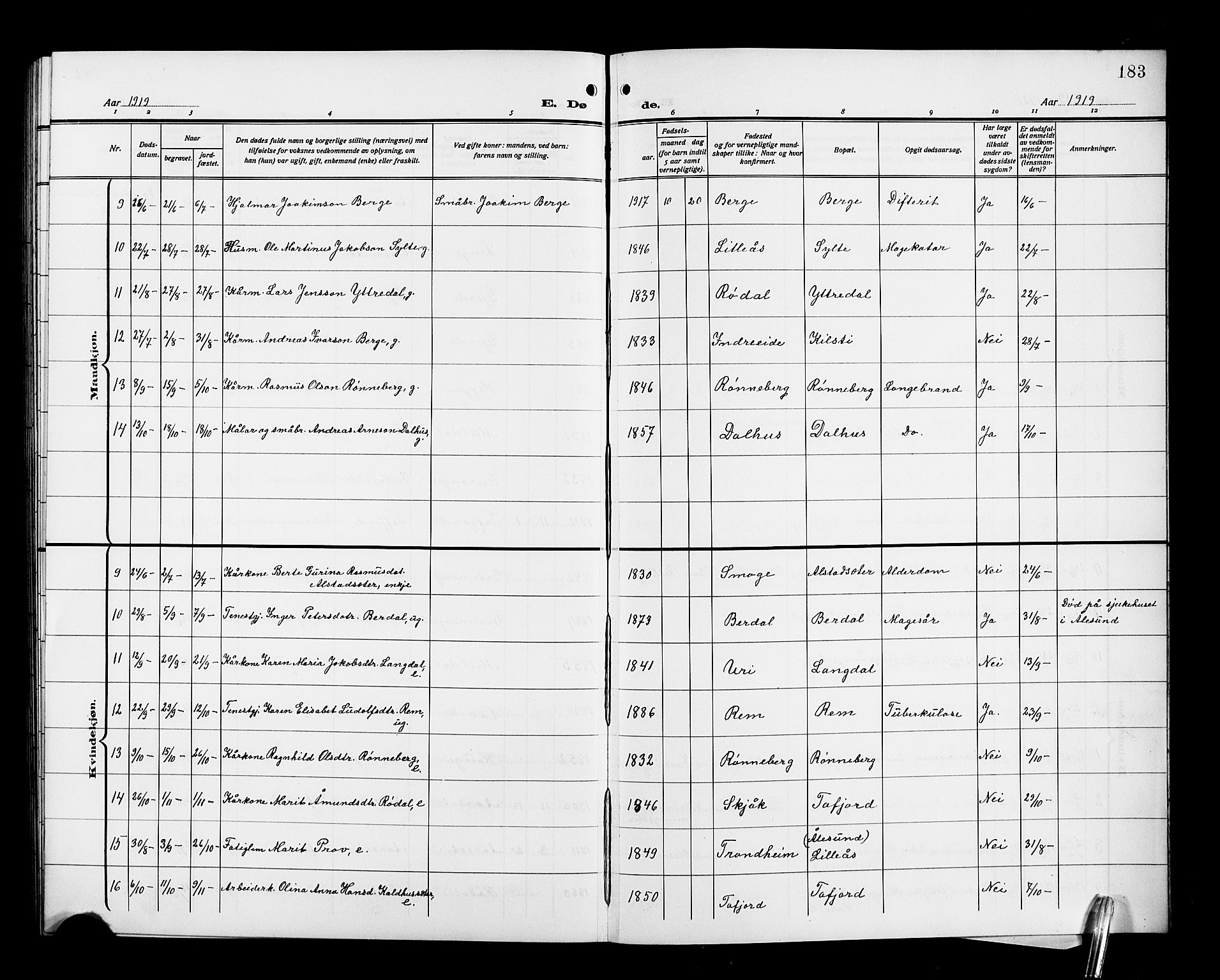 Ministerialprotokoller, klokkerbøker og fødselsregistre - Møre og Romsdal, AV/SAT-A-1454/519/L0265: Parish register (copy) no. 519C06, 1911-1921, p. 183