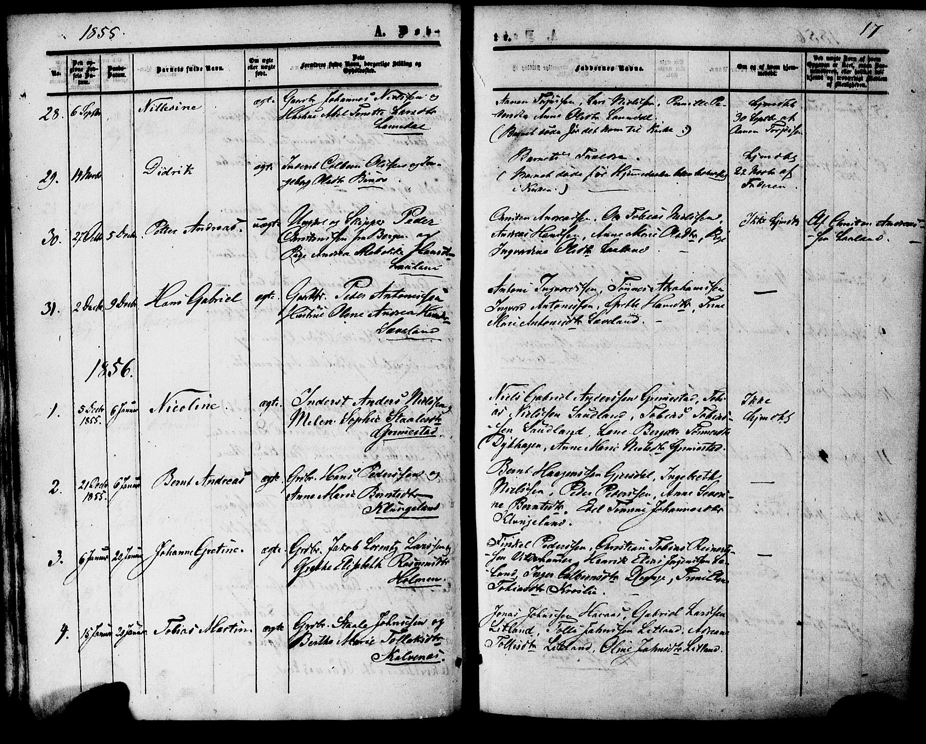 Herad sokneprestkontor, AV/SAK-1111-0018/F/Fa/Faa/L0005: Parish register (official) no. A 5, 1853-1886, p. 17