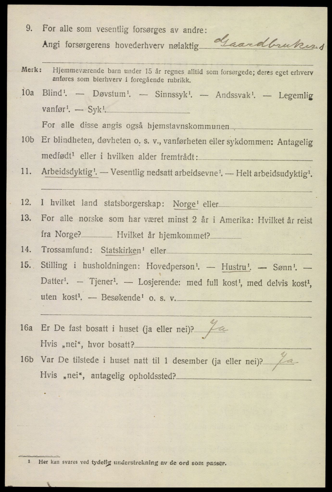 SAK, 1920 census for Hornnes, 1920, p. 796