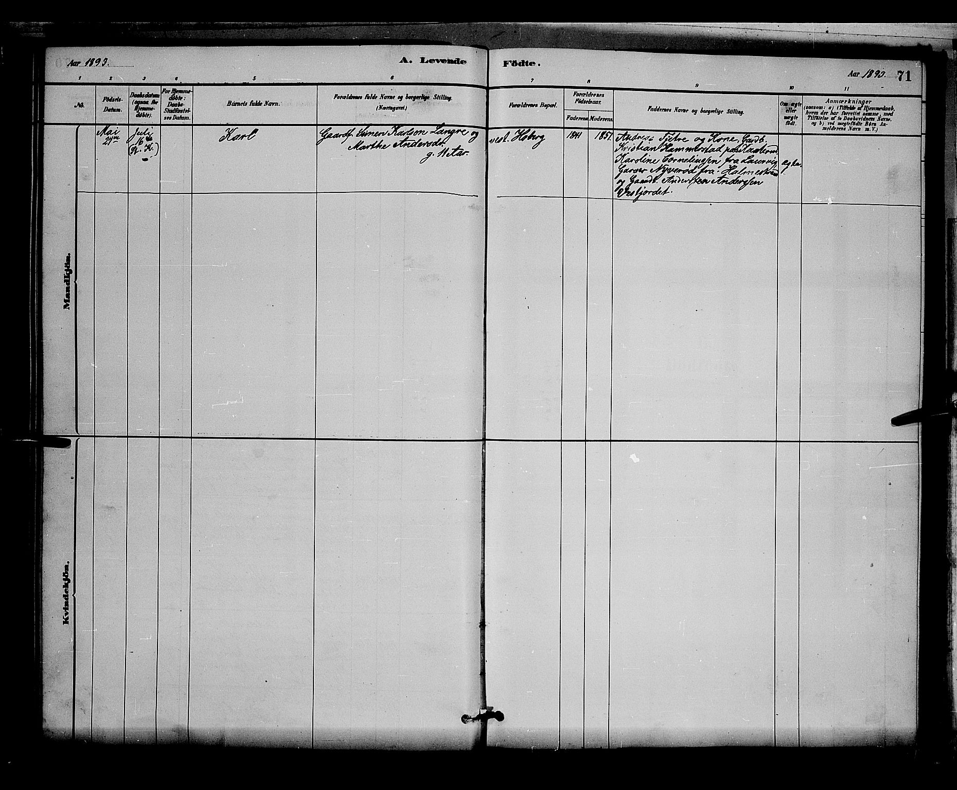 Stange prestekontor, AV/SAH-PREST-002/L/L0007: Parish register (copy) no. 7, 1880-1893, p. 71