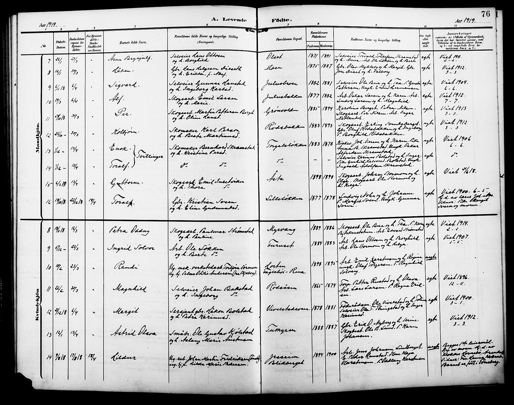 Åmot prestekontor, Hedmark, AV/SAH-PREST-056/H/Ha/Hab/L0004: Parish register (copy) no. 4, 1905-1920, p. 76