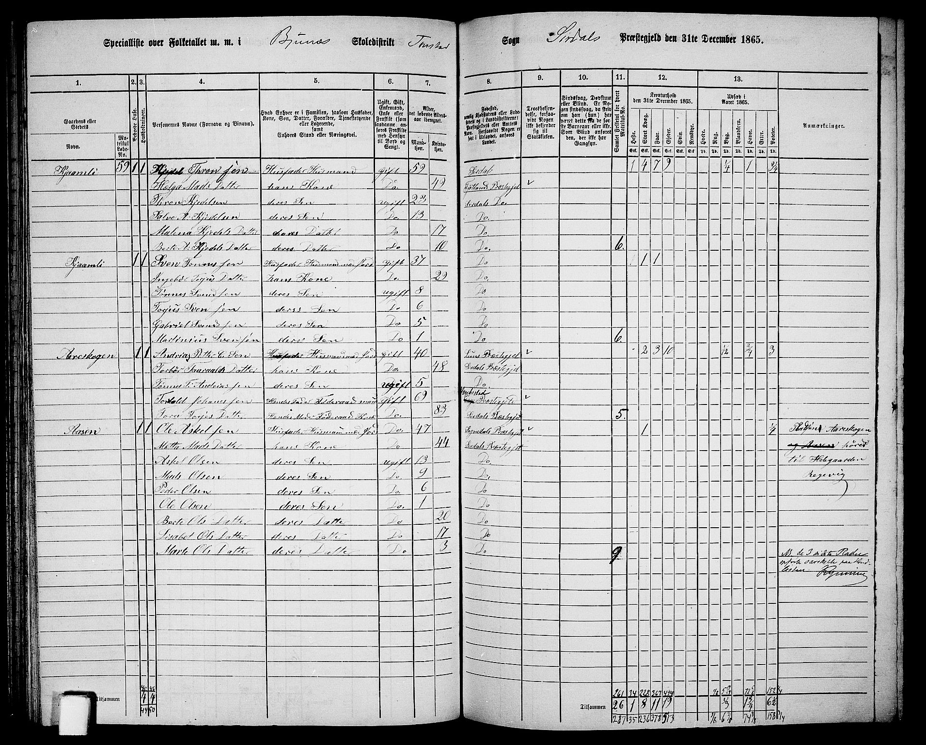 RA, 1865 census for Sirdal, 1865, p. 21