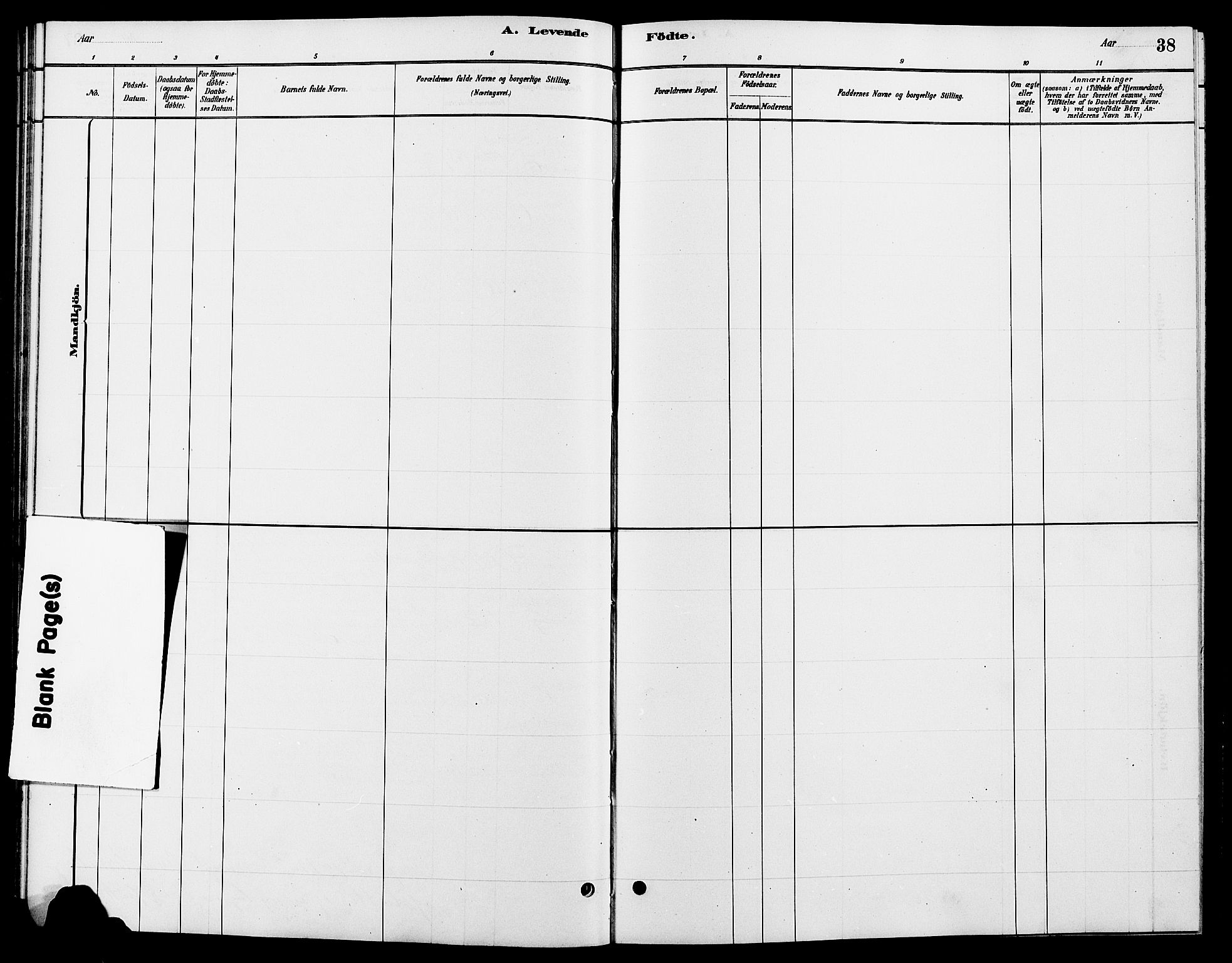 Tynset prestekontor, SAH/PREST-058/H/Ha/Hab/L0007: Parish register (copy) no. 7, 1880-1901, p. 38