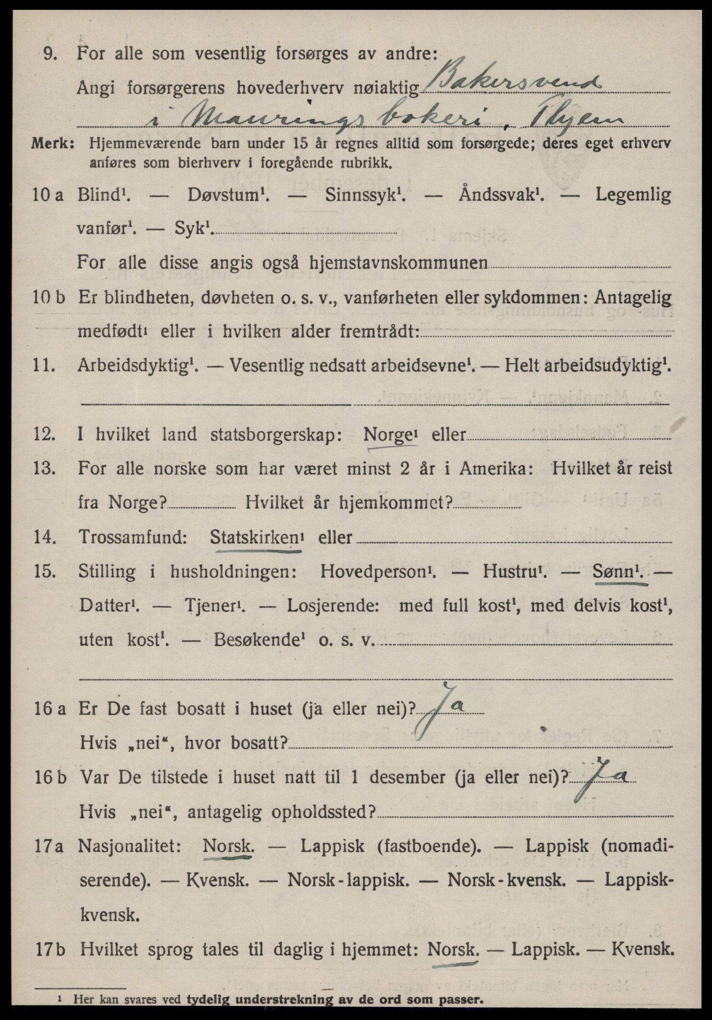 SAT, 1920 census for Strinda, 1920, p. 17579