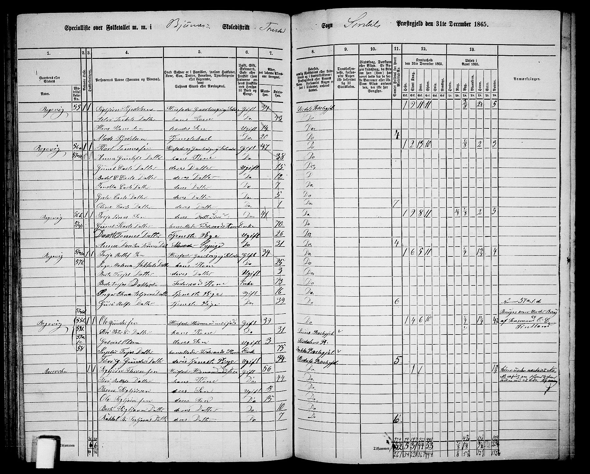 RA, 1865 census for Sirdal, 1865, p. 20