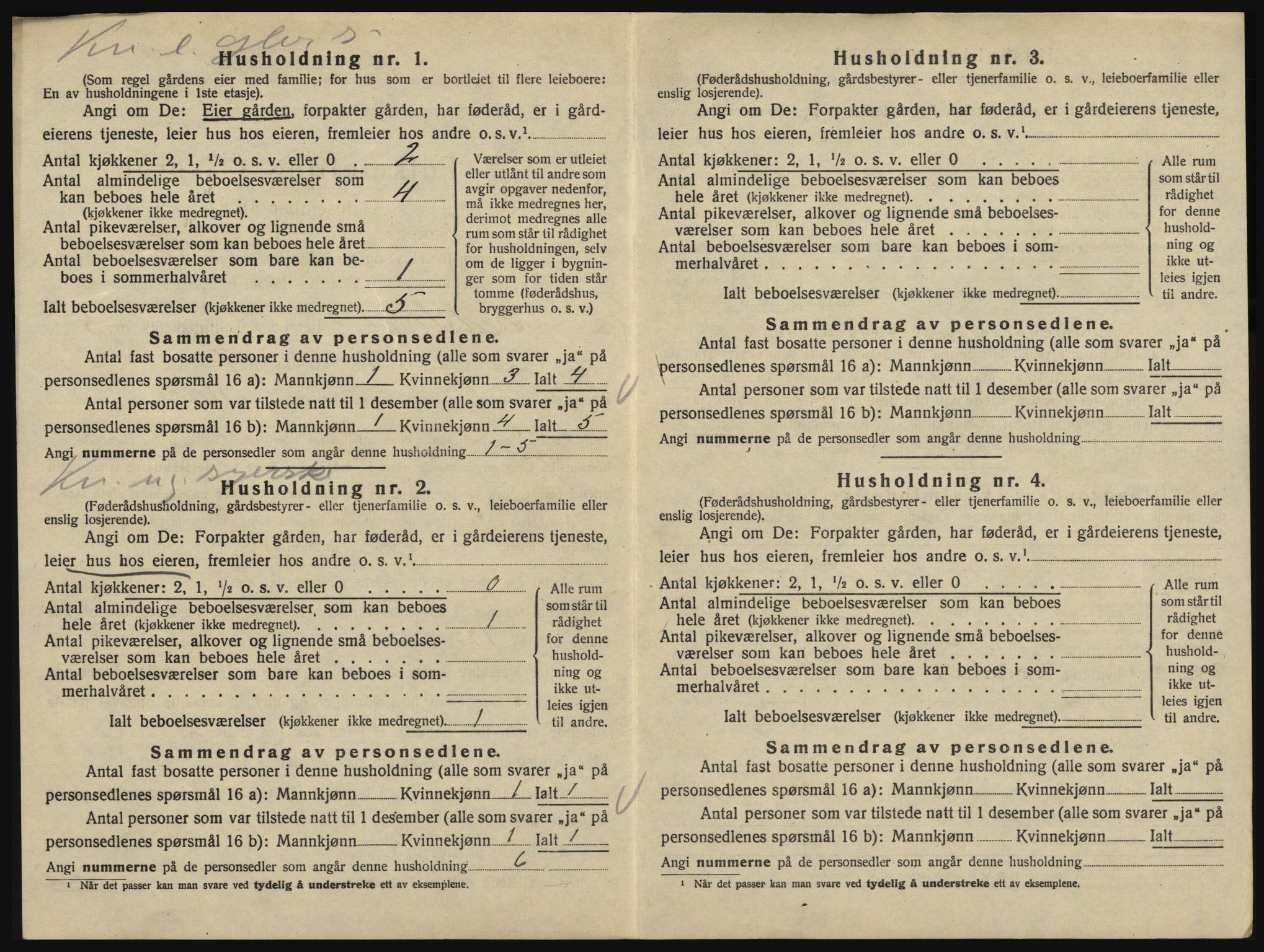 SAO, 1920 census for Eidsberg, 1920, p. 858