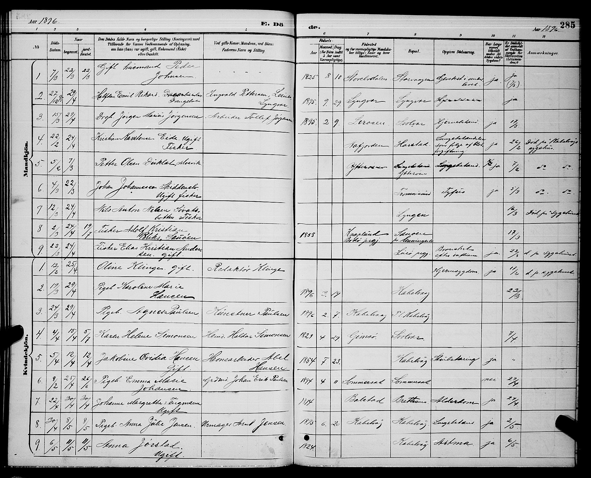 Ministerialprotokoller, klokkerbøker og fødselsregistre - Nordland, AV/SAT-A-1459/874/L1077: Parish register (copy) no. 874C06, 1891-1900, p. 285