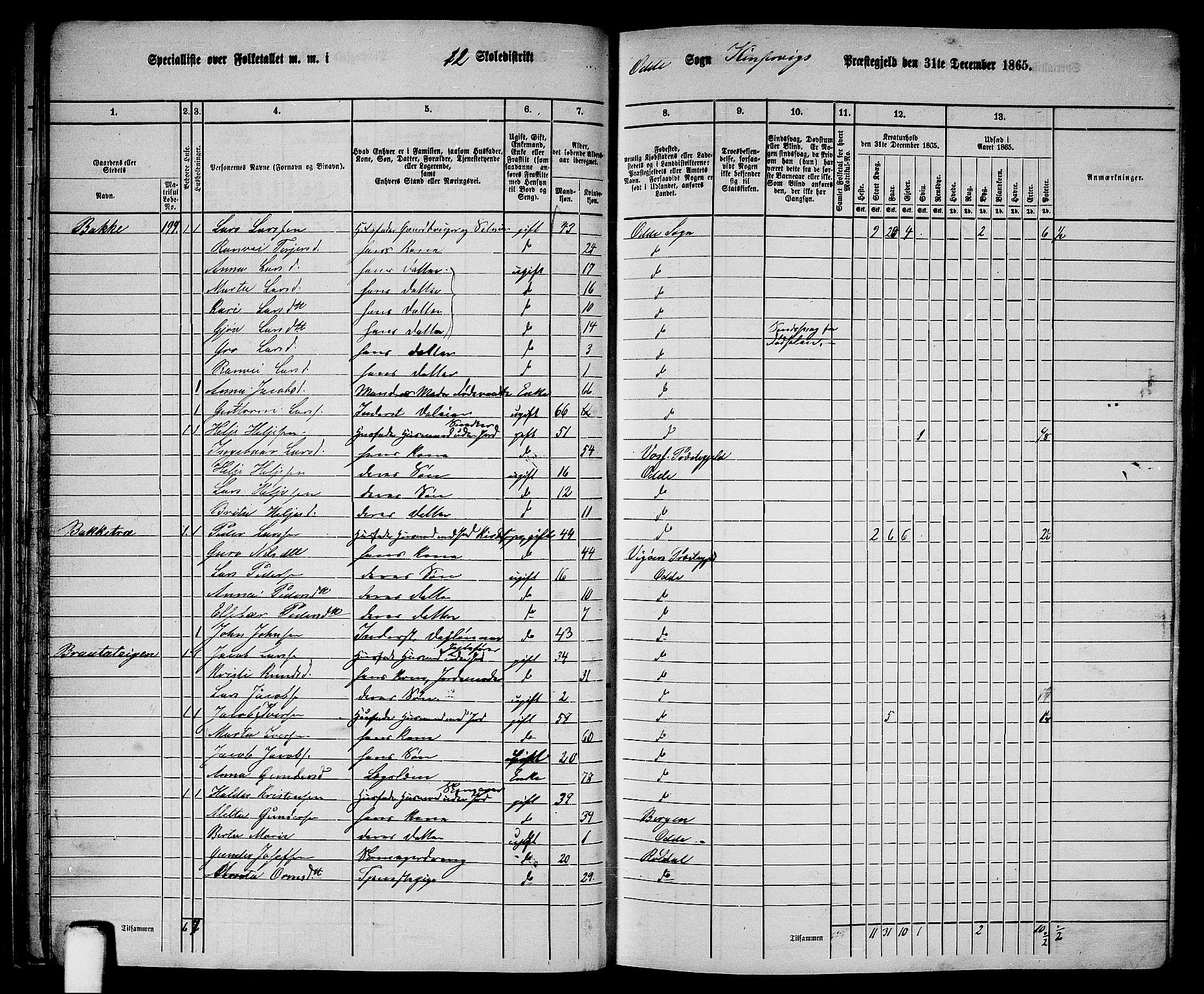 RA, 1865 census for Kinsarvik, 1865, p. 55