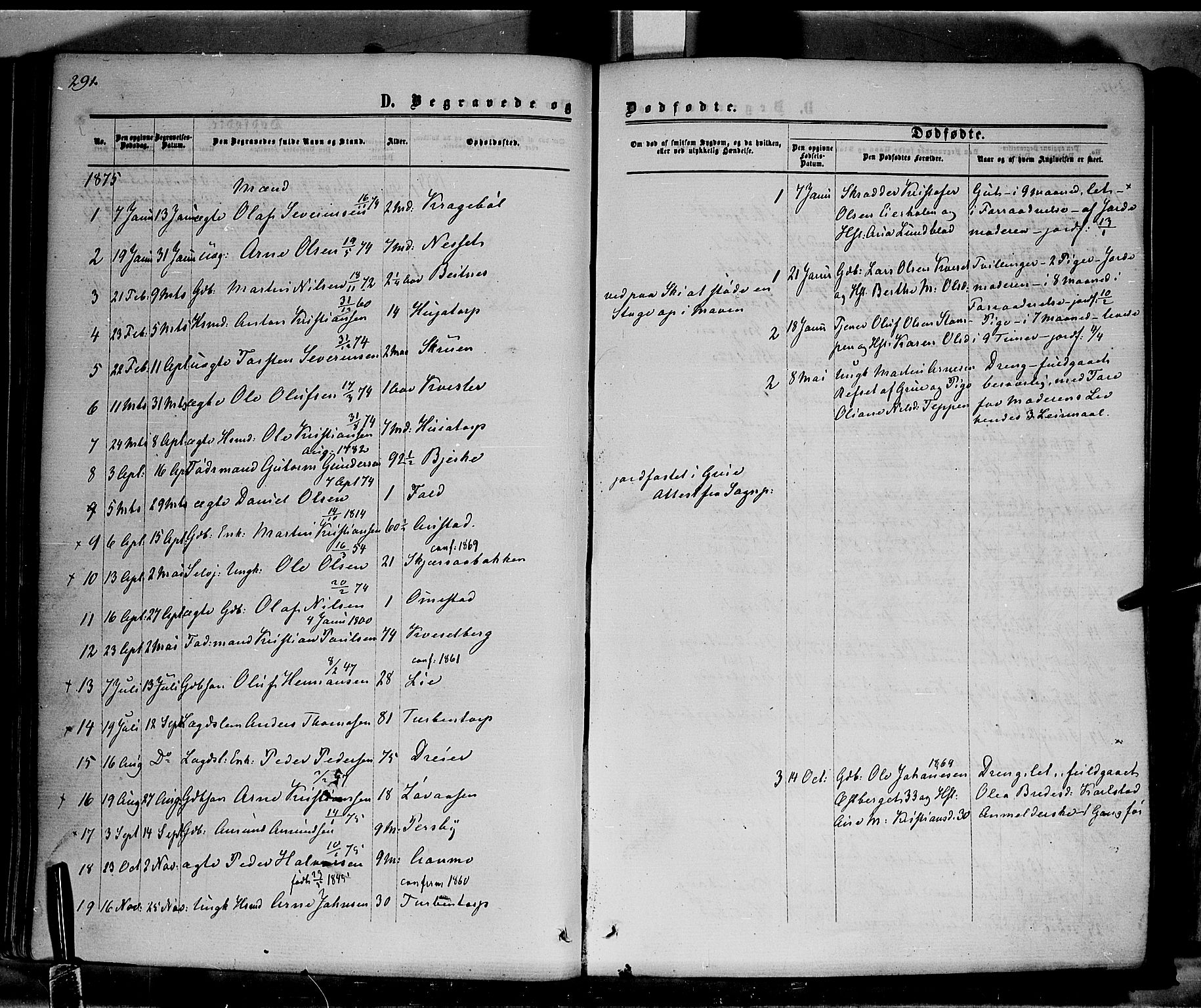 Hof prestekontor, SAH/PREST-038/H/Ha/Haa/L0009: Parish register (official) no. 9, 1862-1877, p. 291