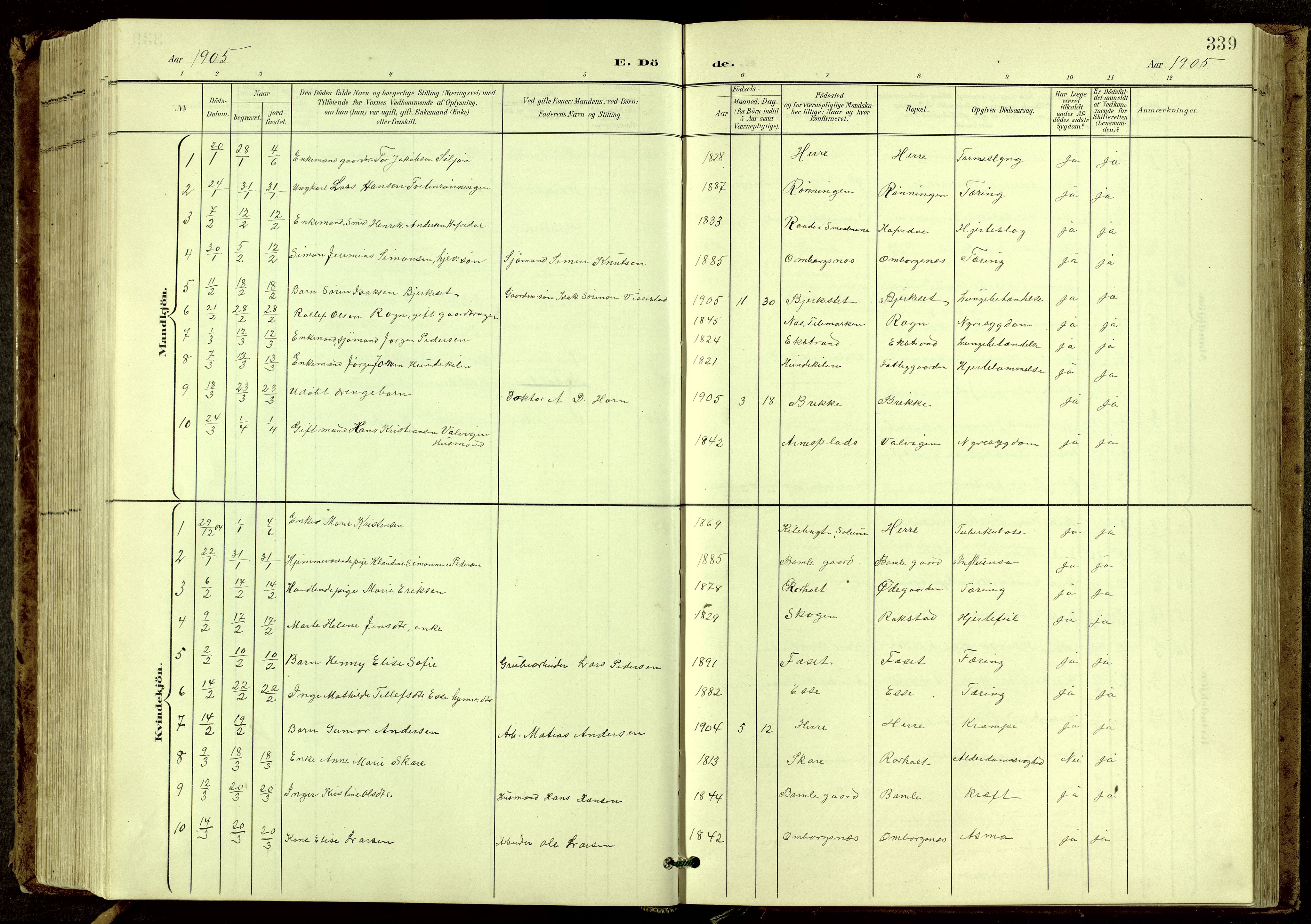 Bamble kirkebøker, SAKO/A-253/G/Ga/L0010: Parish register (copy) no. I 10, 1901-1919, p. 339