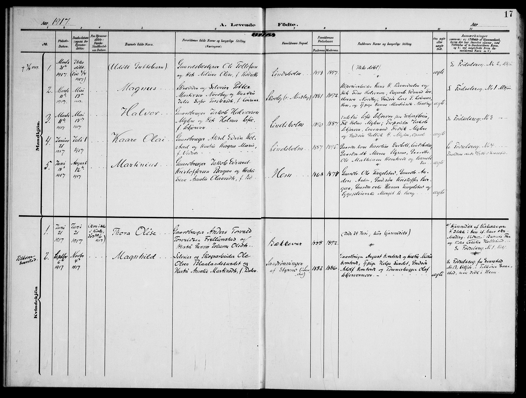Lardal kirkebøker, SAKO/A-350/F/Fc/L0002: Parish register (official) no. III 2, 1907-1921, p. 17