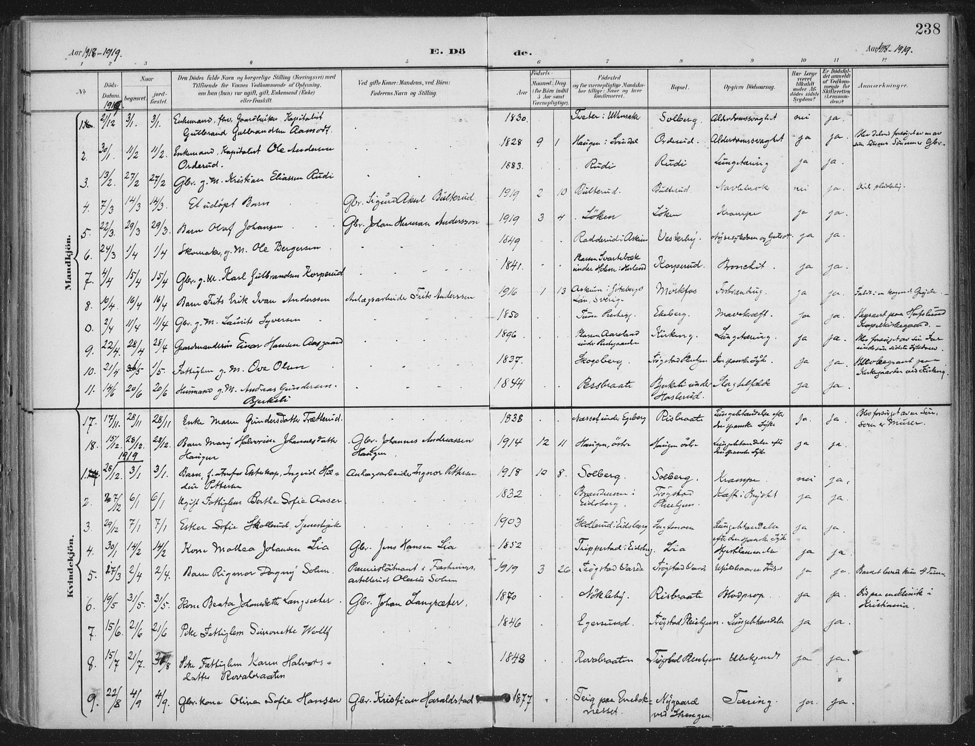 Trøgstad prestekontor Kirkebøker, AV/SAO-A-10925/F/Fa/L0011: Parish register (official) no. I 11, 1899-1919, p. 238