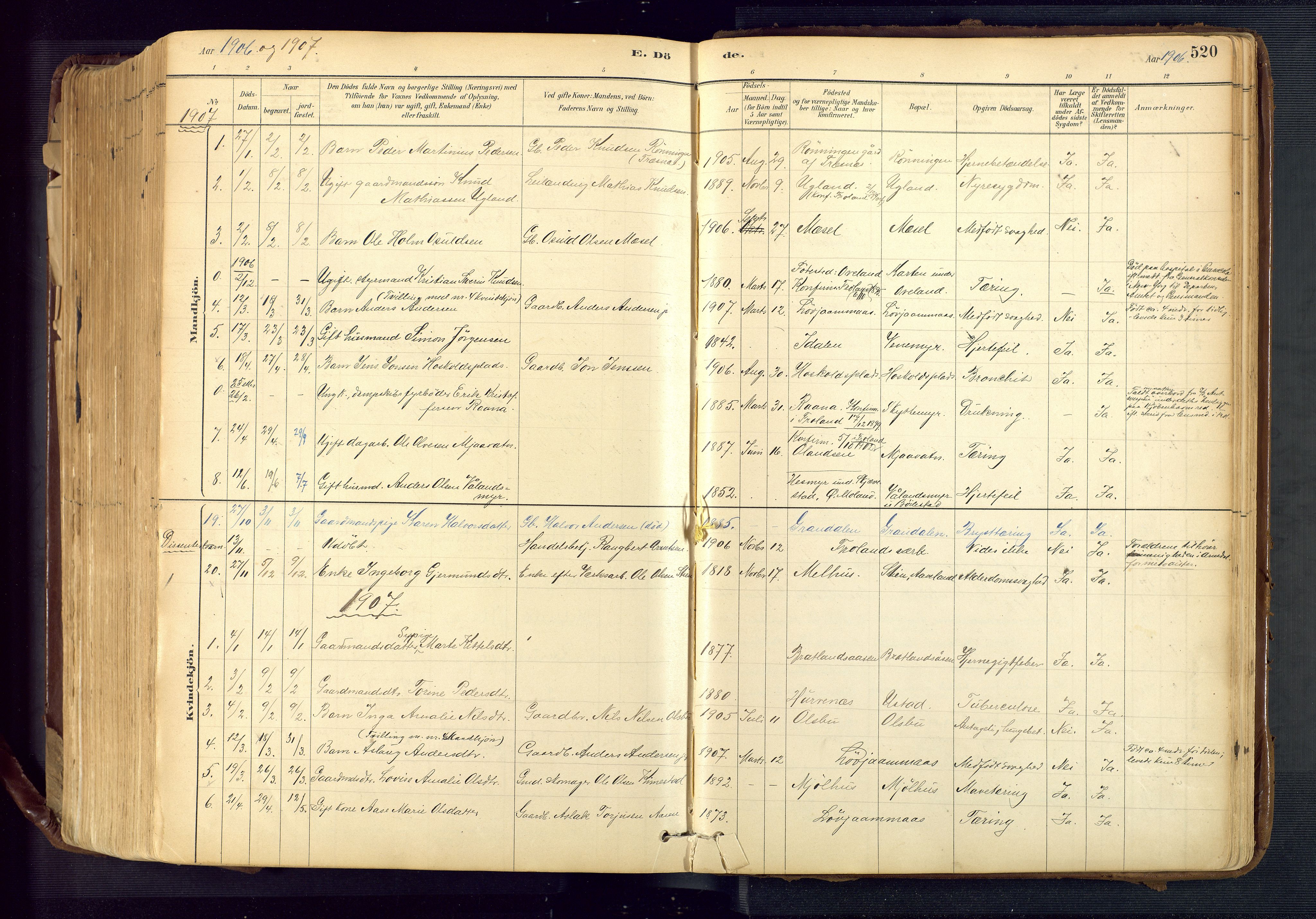 Froland sokneprestkontor, SAK/1111-0013/F/Fa/L0005: Parish register (official) no. A 5, 1882-1921, p. 520