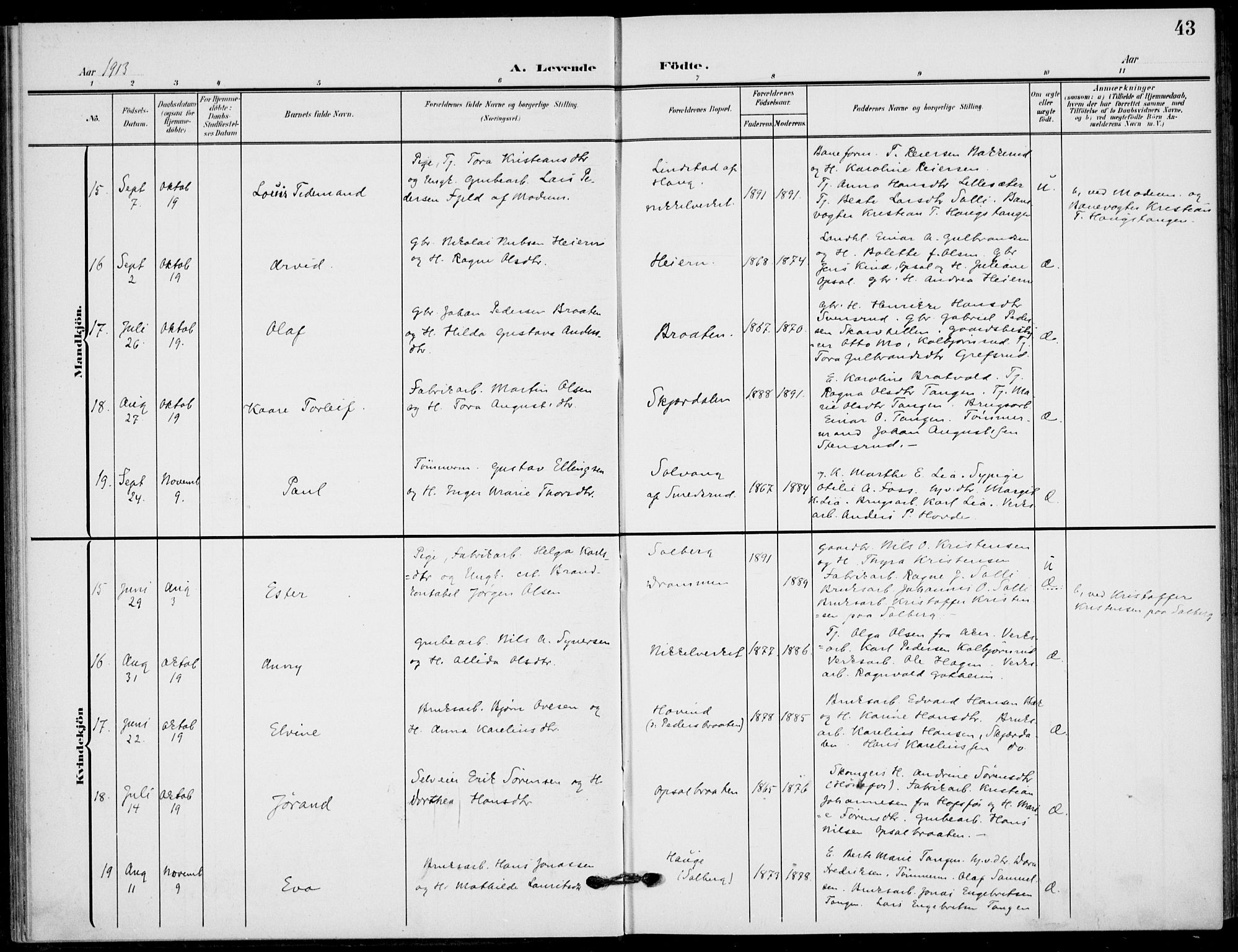 Hole kirkebøker, AV/SAKO-A-228/F/Fb/L0003: Parish register (official) no. II 3, 1906-1916, p. 43