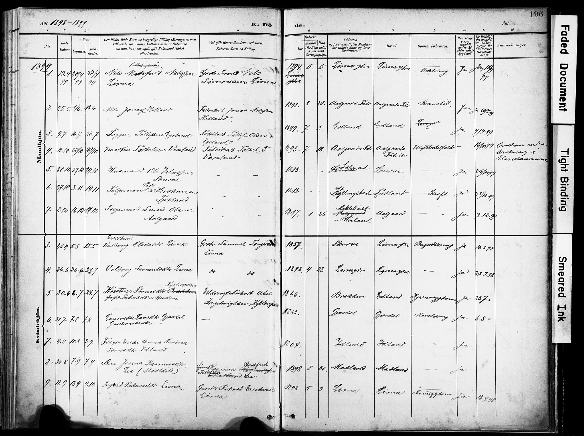 Lye sokneprestkontor, AV/SAST-A-101794/001/30BA/L0012: Parish register (official) no. A 11, 1896-1909, p. 196