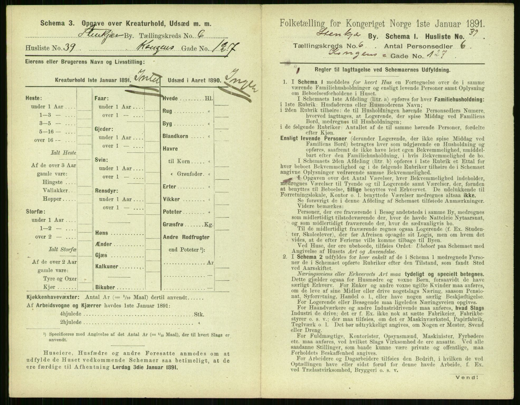 RA, 1891 census for 1702 Steinkjer, 1891, p. 2177