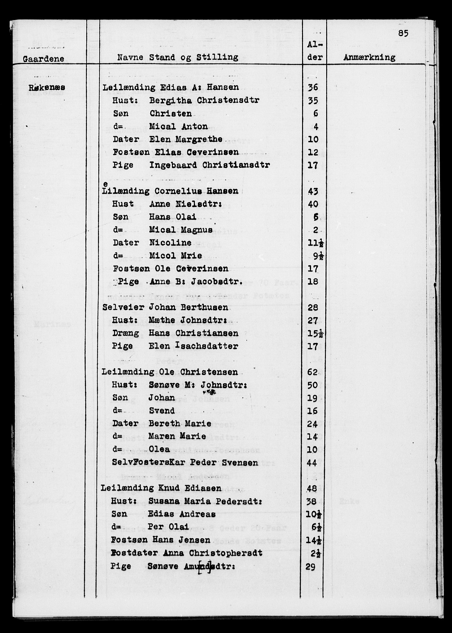 SATØ, Census 1845 for Ibestad, 1845, p. 85