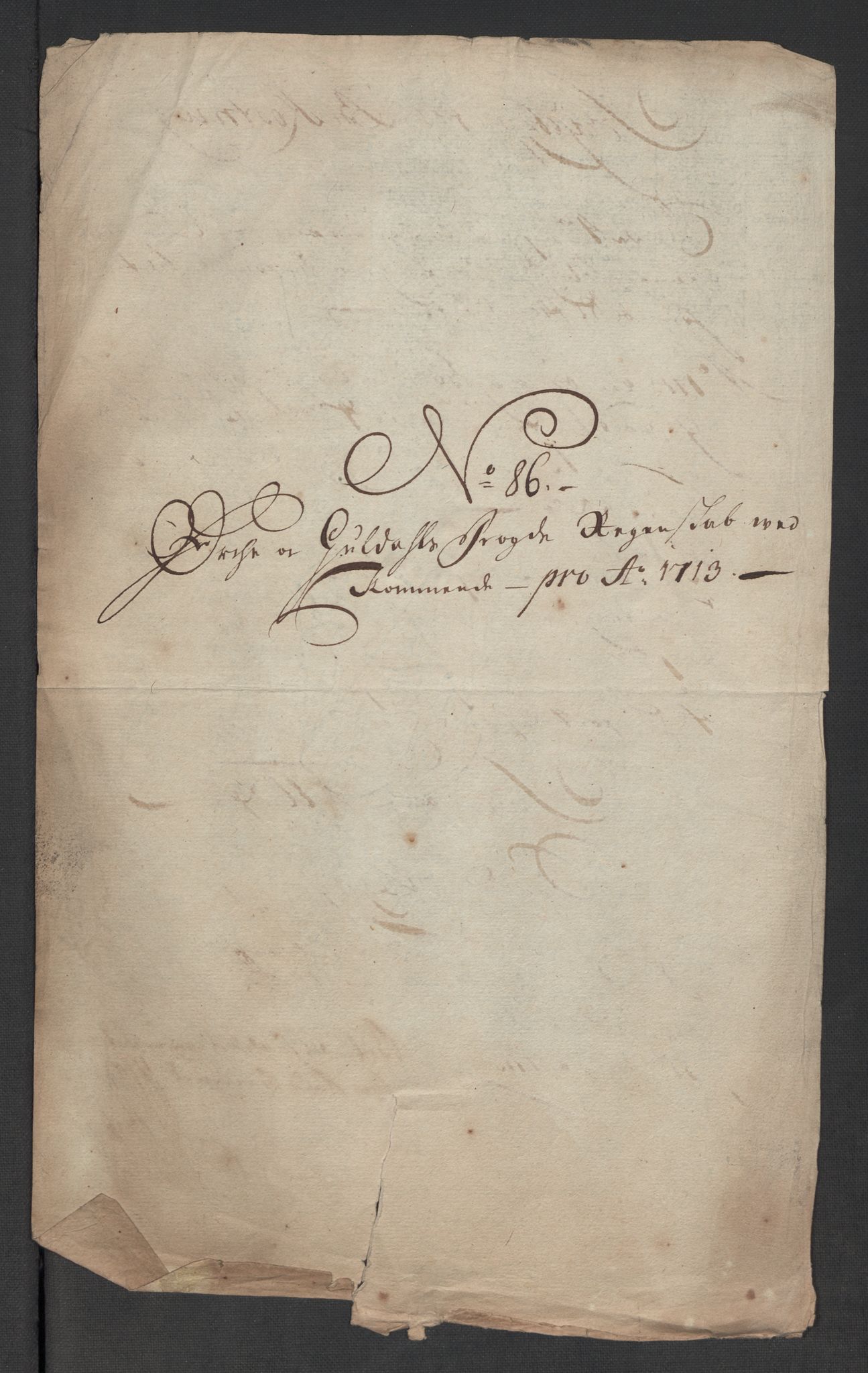 Rentekammeret inntil 1814, Reviderte regnskaper, Fogderegnskap, AV/RA-EA-4092/R60/L3964: Fogderegnskap Orkdal og Gauldal, 1713, p. 581