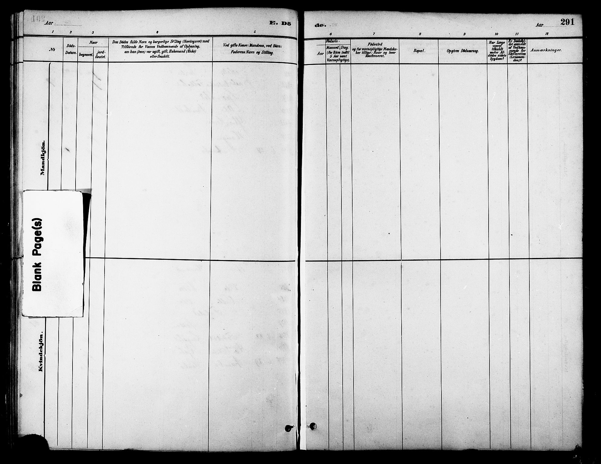 Ministerialprotokoller, klokkerbøker og fødselsregistre - Møre og Romsdal, AV/SAT-A-1454/513/L0189: Parish register (copy) no. 513C03, 1883-1904, p. 291