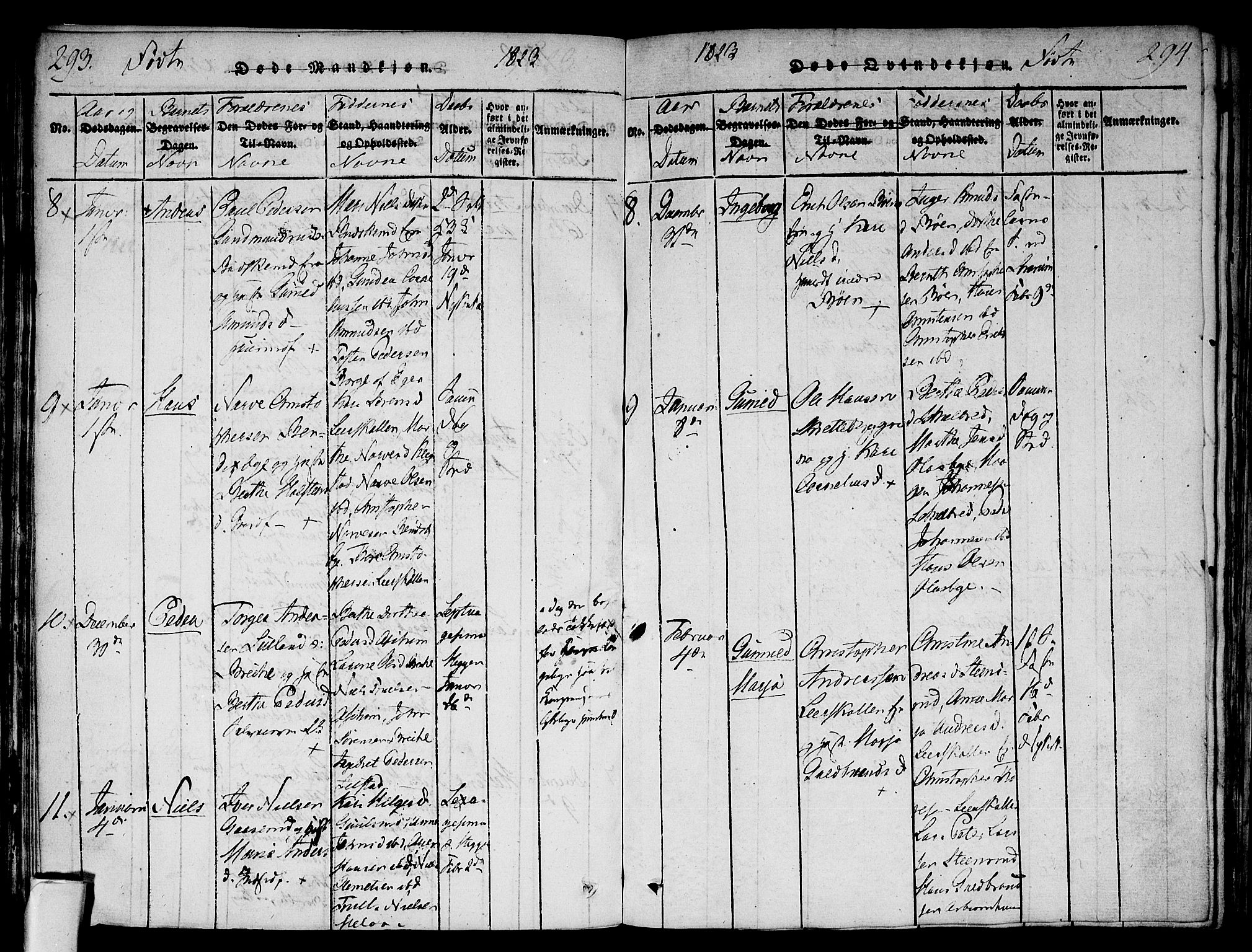 Modum kirkebøker, AV/SAKO-A-234/F/Fa/L0004: Parish register (official) no. 4, 1818-1824, p. 293-294