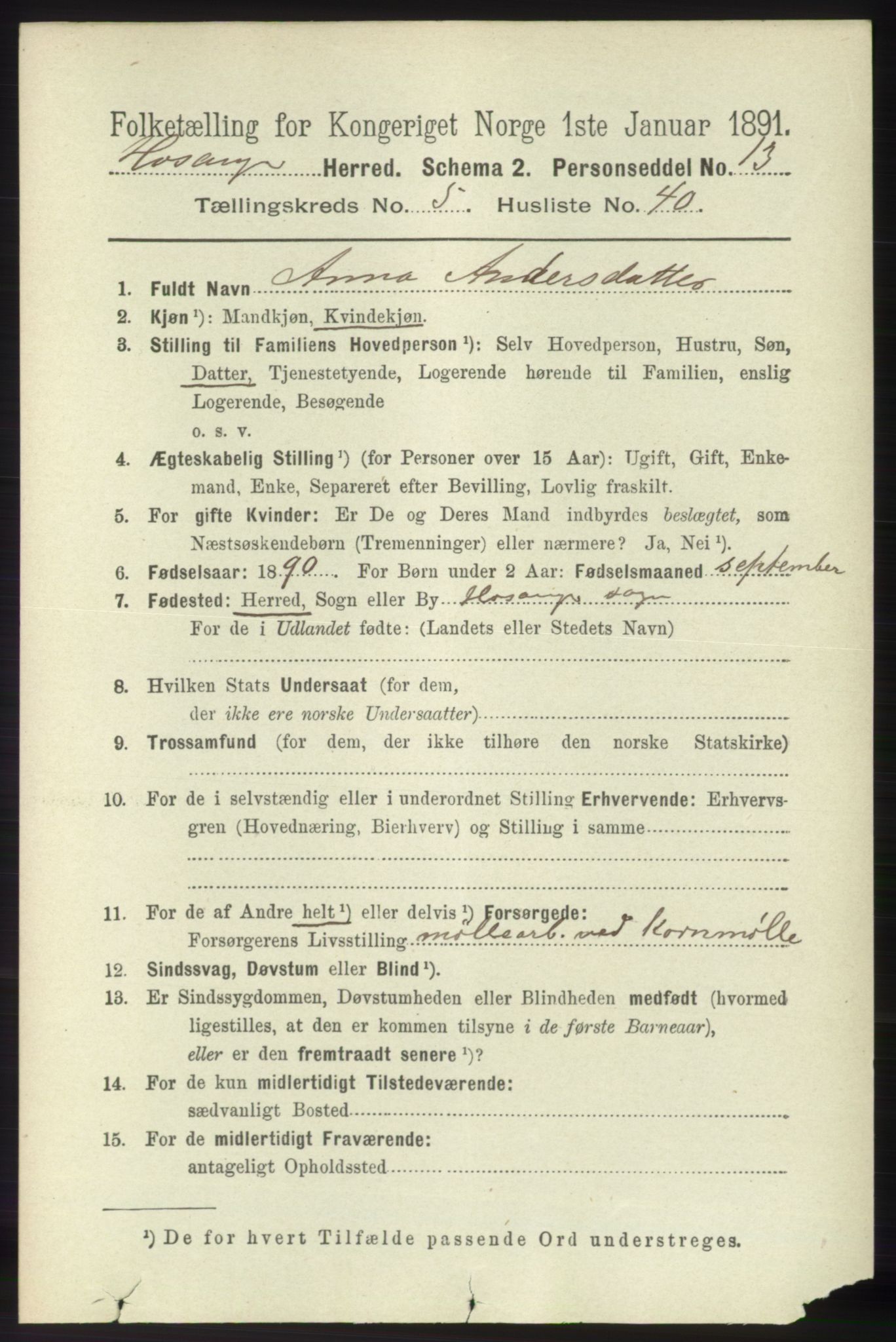RA, 1891 census for 1253 Hosanger, 1891, p. 2077