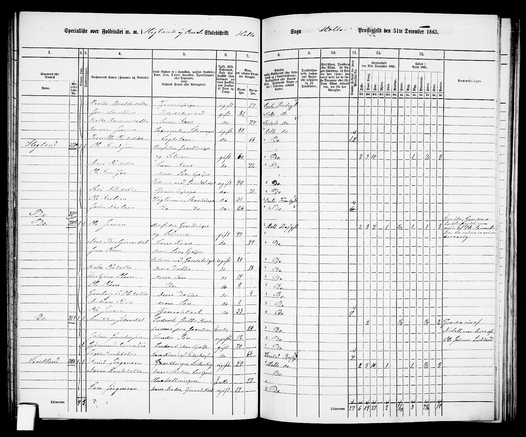RA, 1865 census for Holt/Holt, 1865, p. 136