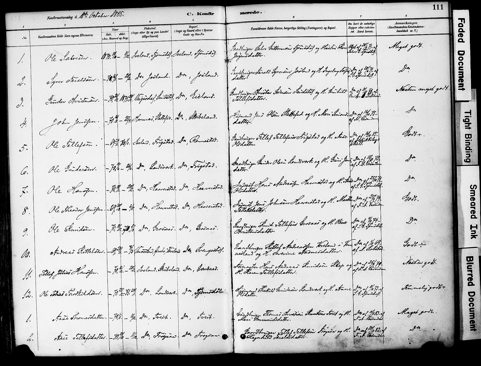 Evje sokneprestkontor, AV/SAK-1111-0008/F/Fa/Fac/L0003: Parish register (official) no. A 3, 1884-1909, p. 111