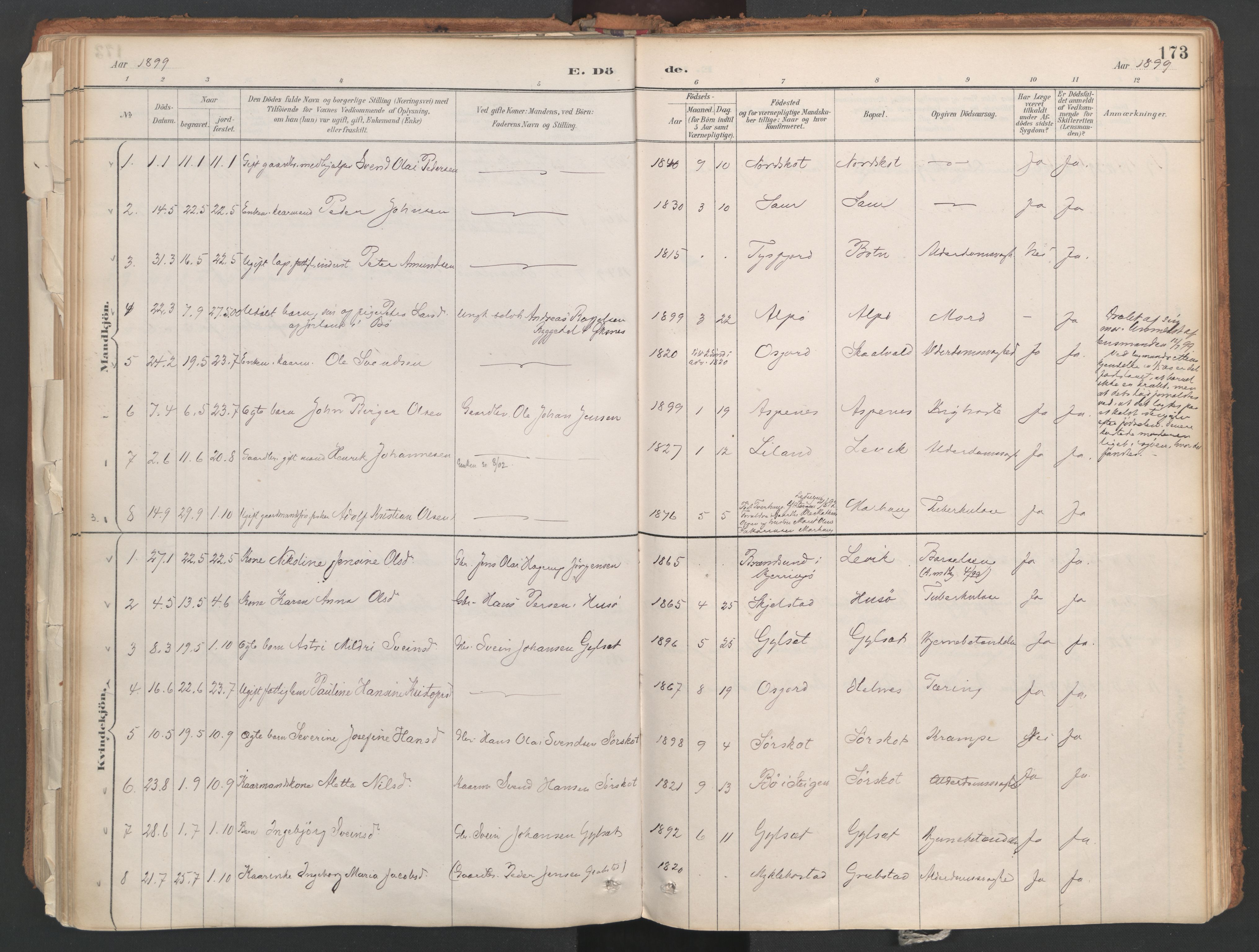 Ministerialprotokoller, klokkerbøker og fødselsregistre - Nordland, AV/SAT-A-1459/857/L0822: Parish register (official) no. 857A02, 1890-1917, p. 173