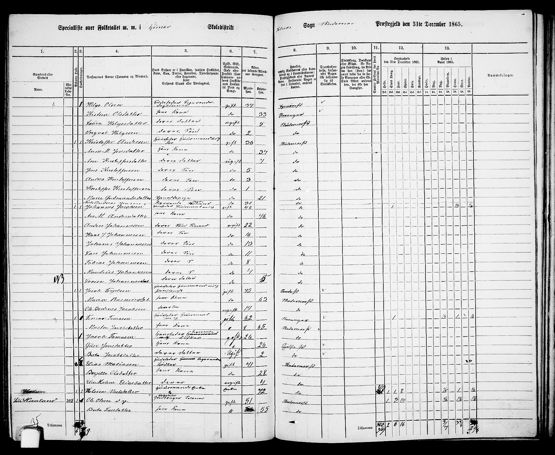 RA, 1865 census for Skudenes, 1865, p. 157