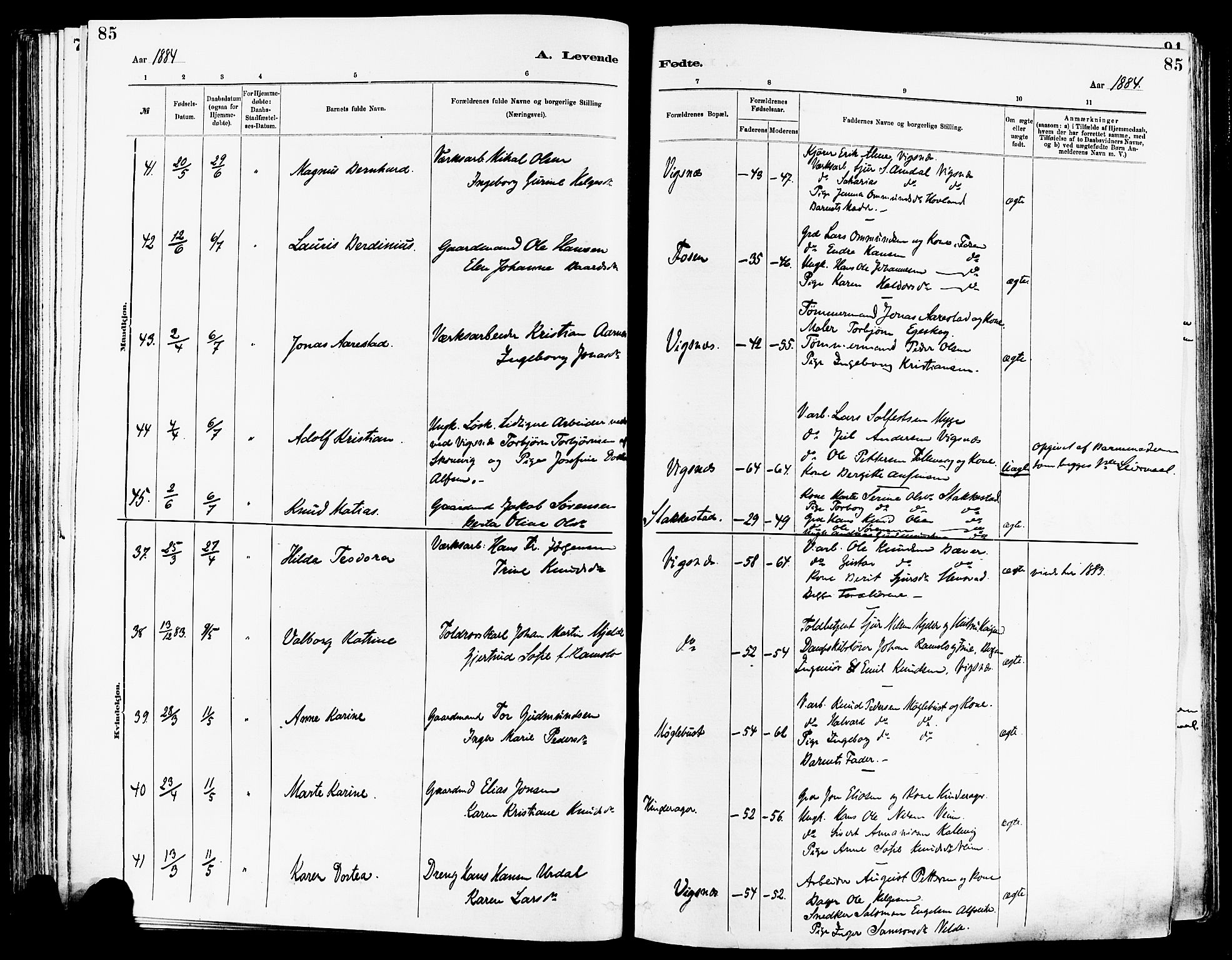 Avaldsnes sokneprestkontor, SAST/A -101851/H/Ha/Haa/L0014: Parish register (official) no. A 14, 1880-1889, p. 85