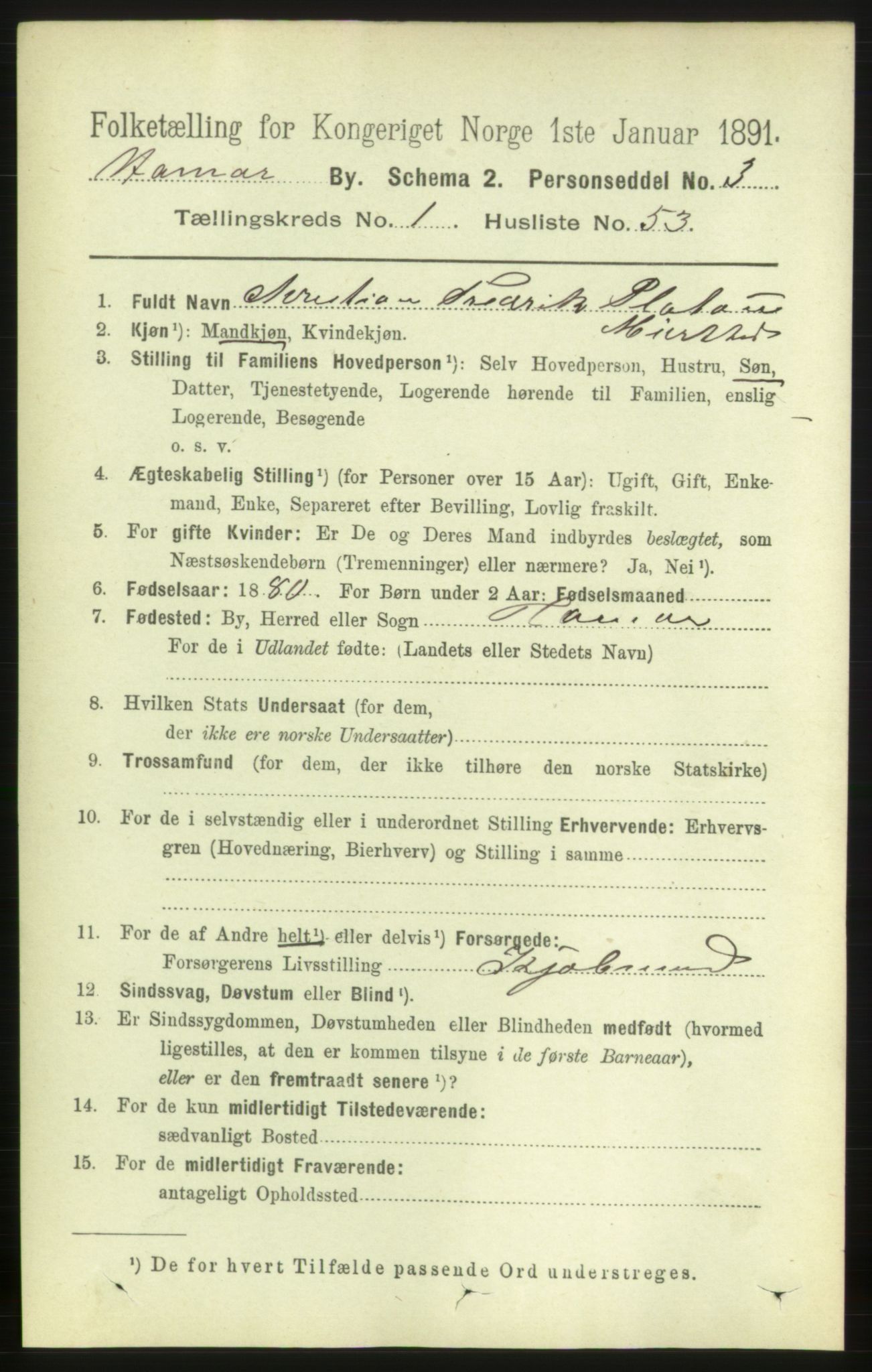 RA, 1891 census for 0401 Hamar, 1891, p. 916