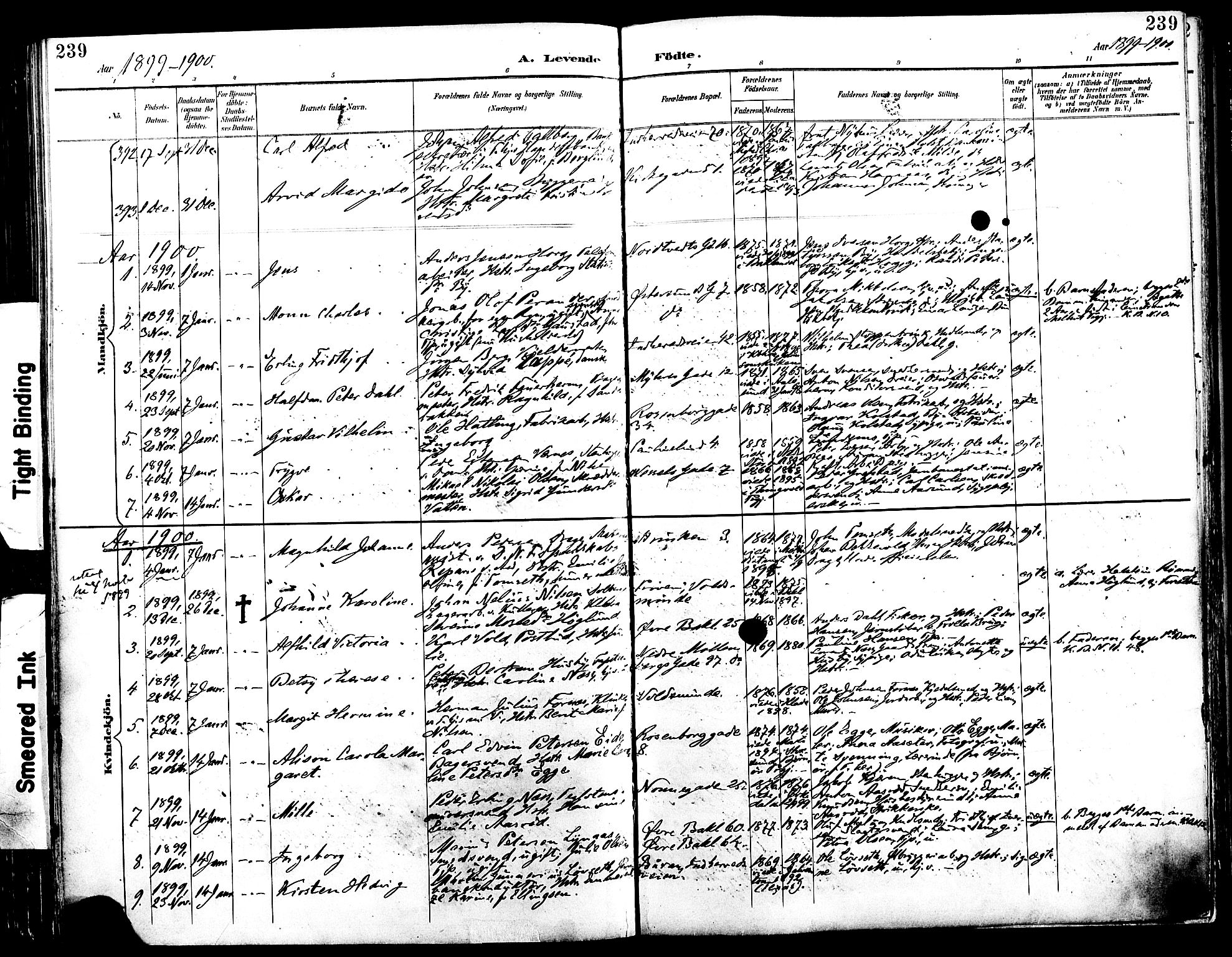 Ministerialprotokoller, klokkerbøker og fødselsregistre - Sør-Trøndelag, SAT/A-1456/604/L0197: Parish register (official) no. 604A18, 1893-1900, p. 239