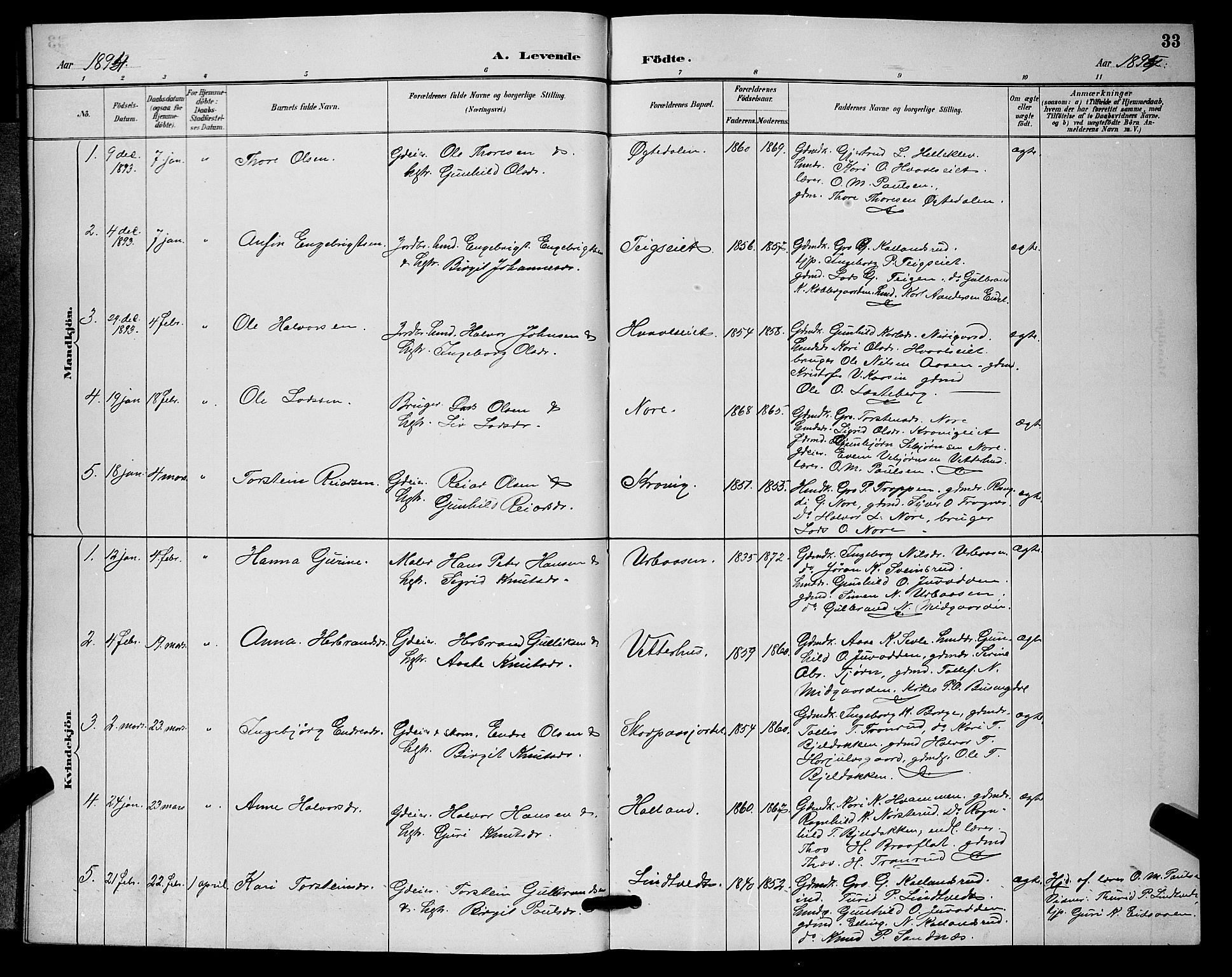 Nore kirkebøker, SAKO/A-238/G/Ga/L0003: Parish register (copy) no. I 3, 1886-1903, p. 33