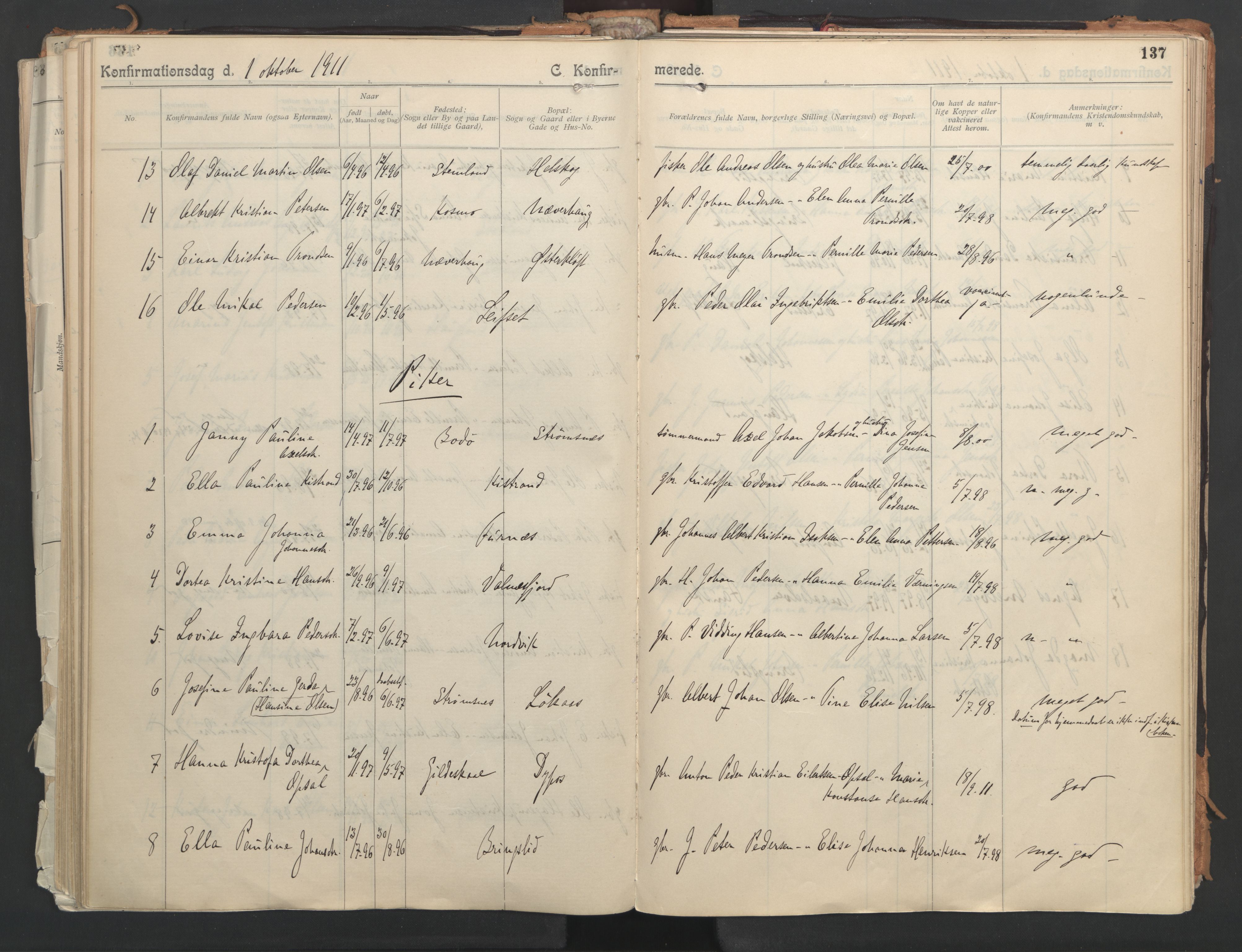 Ministerialprotokoller, klokkerbøker og fødselsregistre - Nordland, AV/SAT-A-1459/851/L0724: Parish register (official) no. 851A01, 1901-1922, p. 137