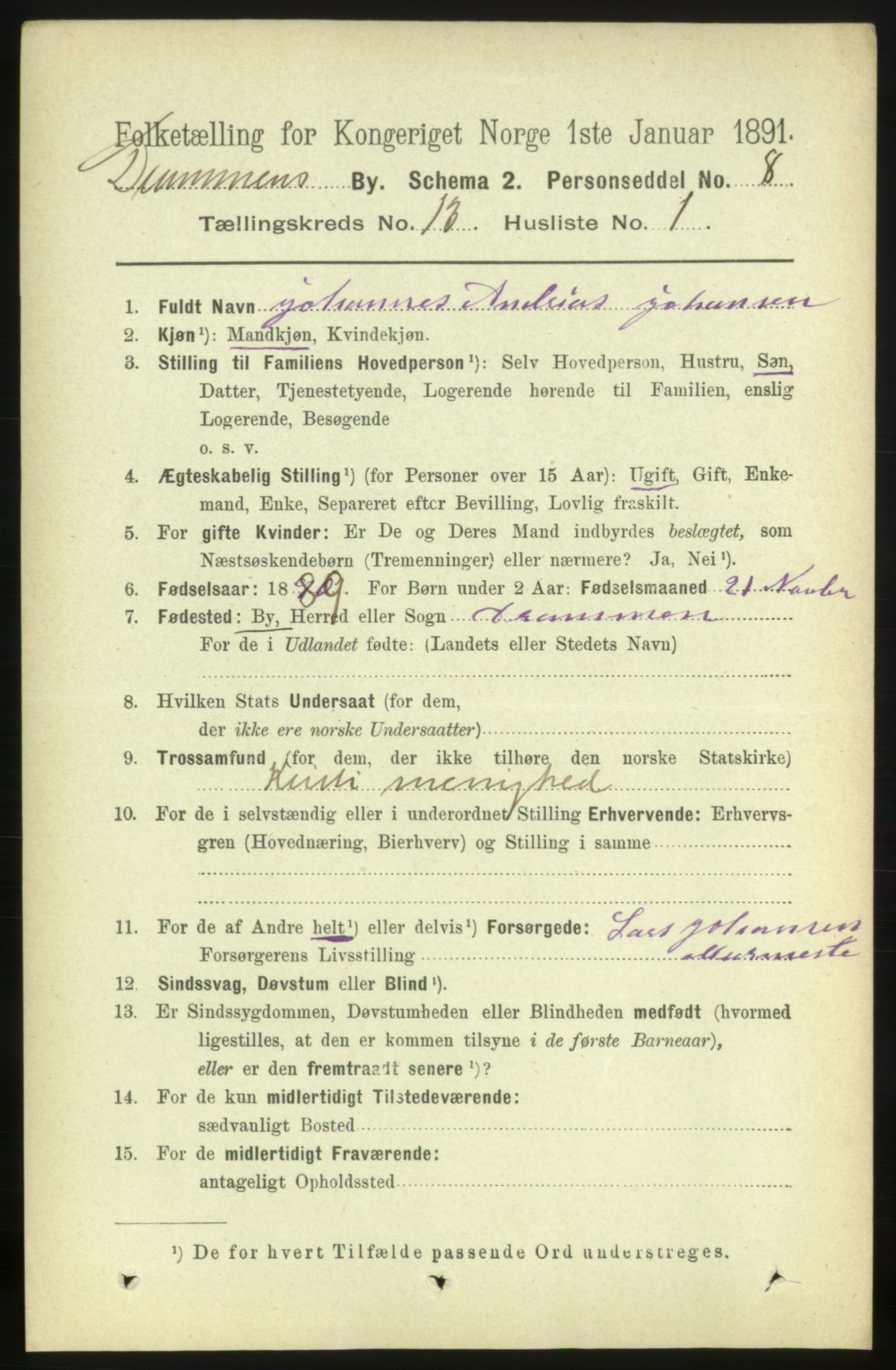 RA, 1891 census for 0602 Drammen, 1891, p. 9484