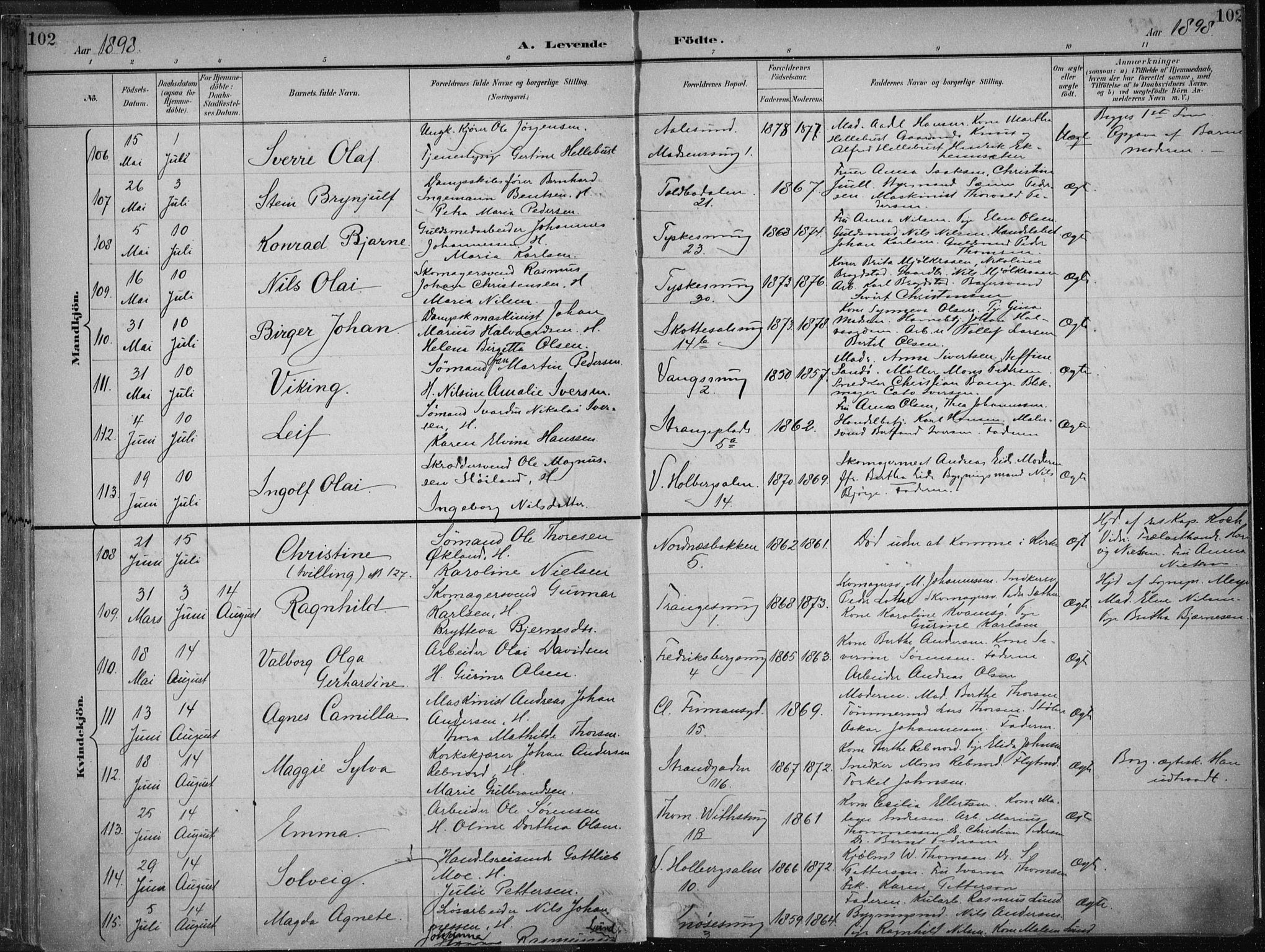 Nykirken Sokneprestembete, AV/SAB-A-77101/H/Haa/L0018: Parish register (official) no. B 6, 1895-1903, p. 102