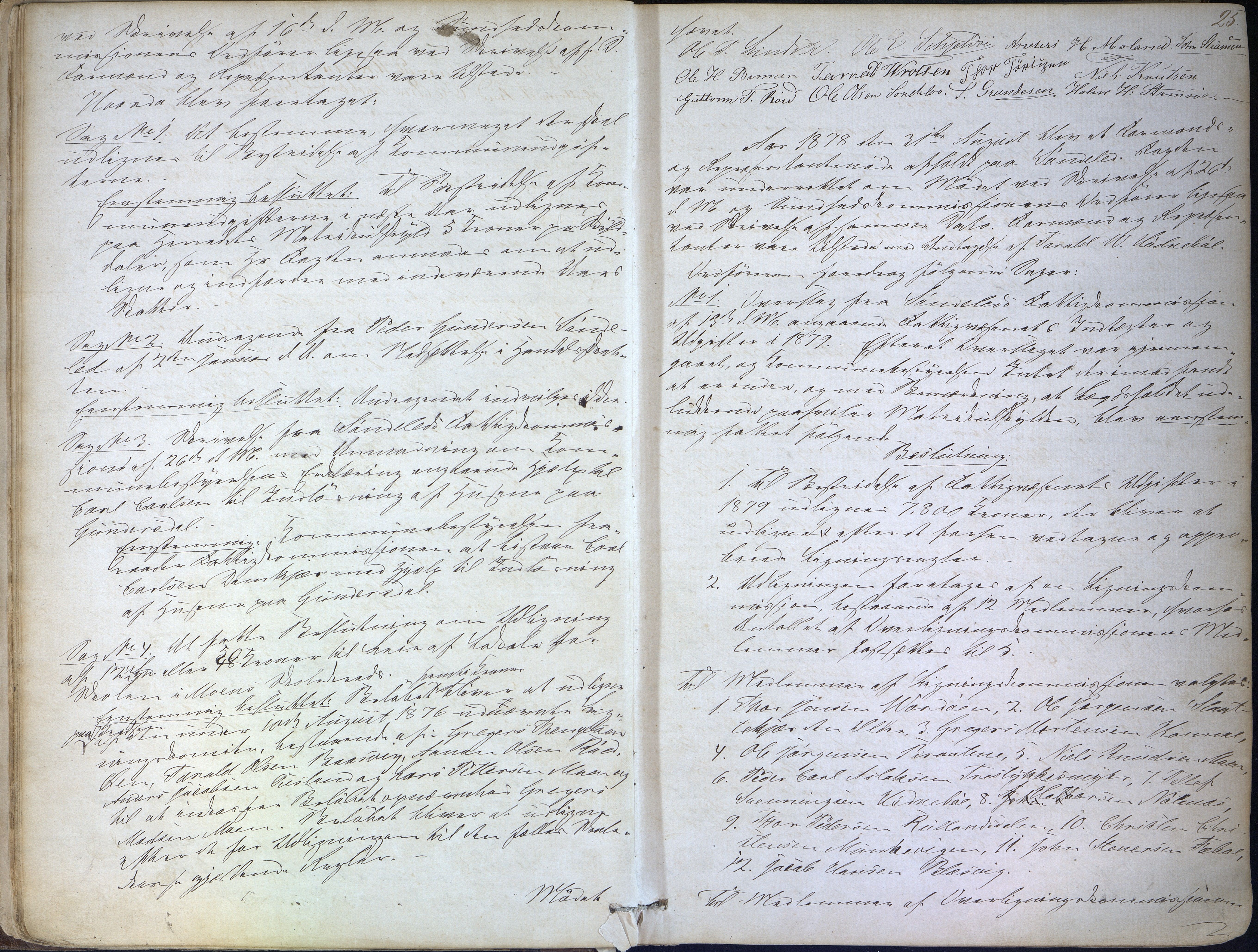 Søndeled kommune, AAKS/KA0913-PK/1/01/L0002: Forhandlingsprotokoll, 1874-1896, p. 25