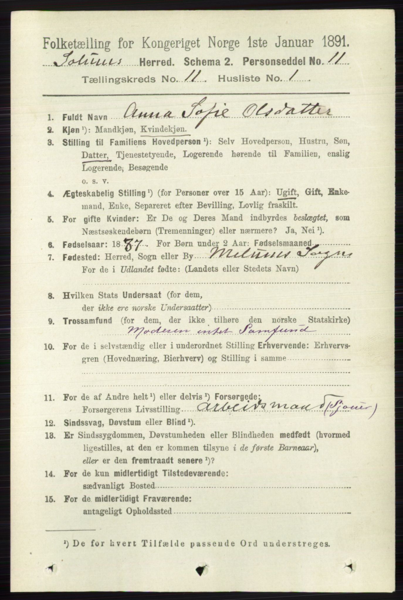 RA, 1891 census for 0818 Solum, 1891, p. 5297