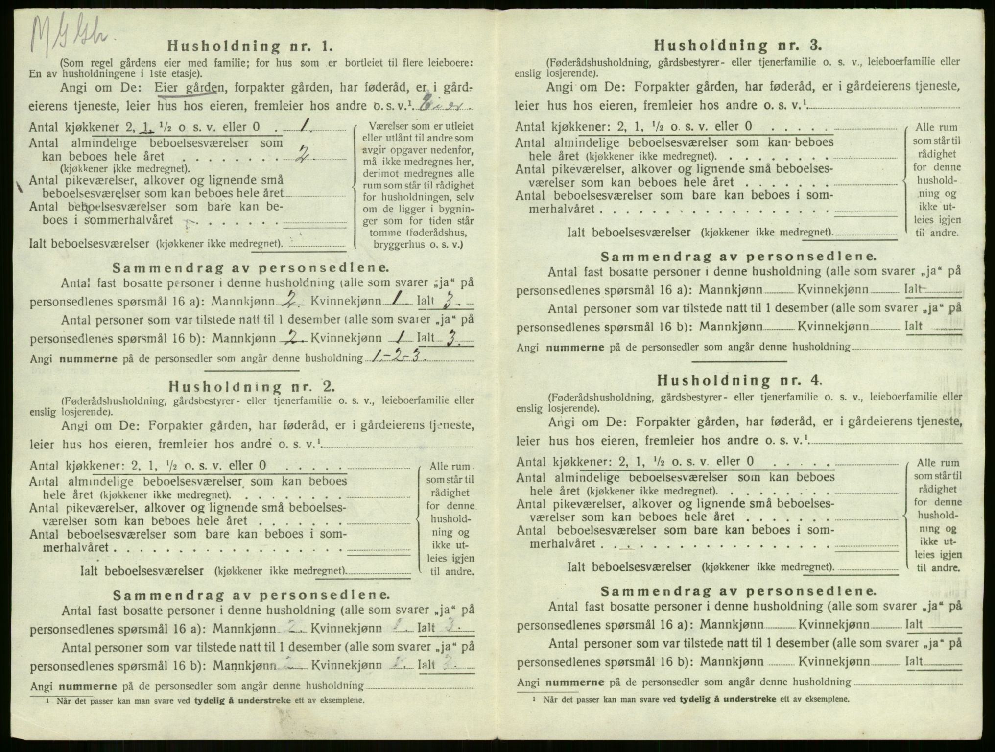 SAKO, 1920 census for Botne, 1920, p. 477