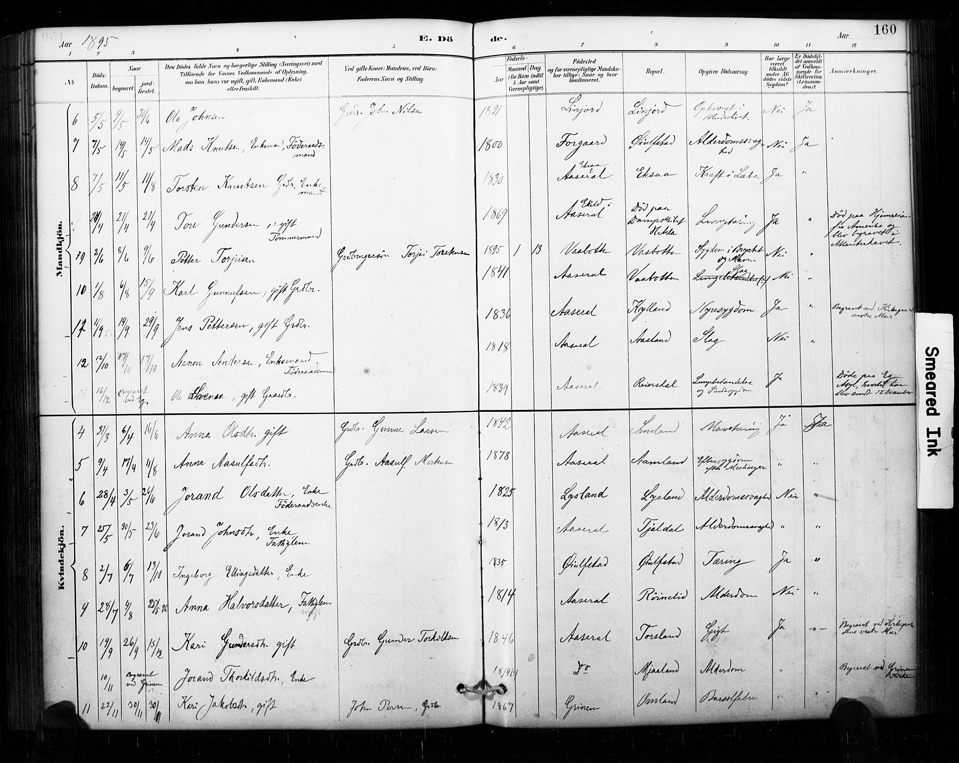 Åseral sokneprestkontor, AV/SAK-1111-0051/F/Fa/L0003: Parish register (official) no. A 3, 1884-1901, p. 160