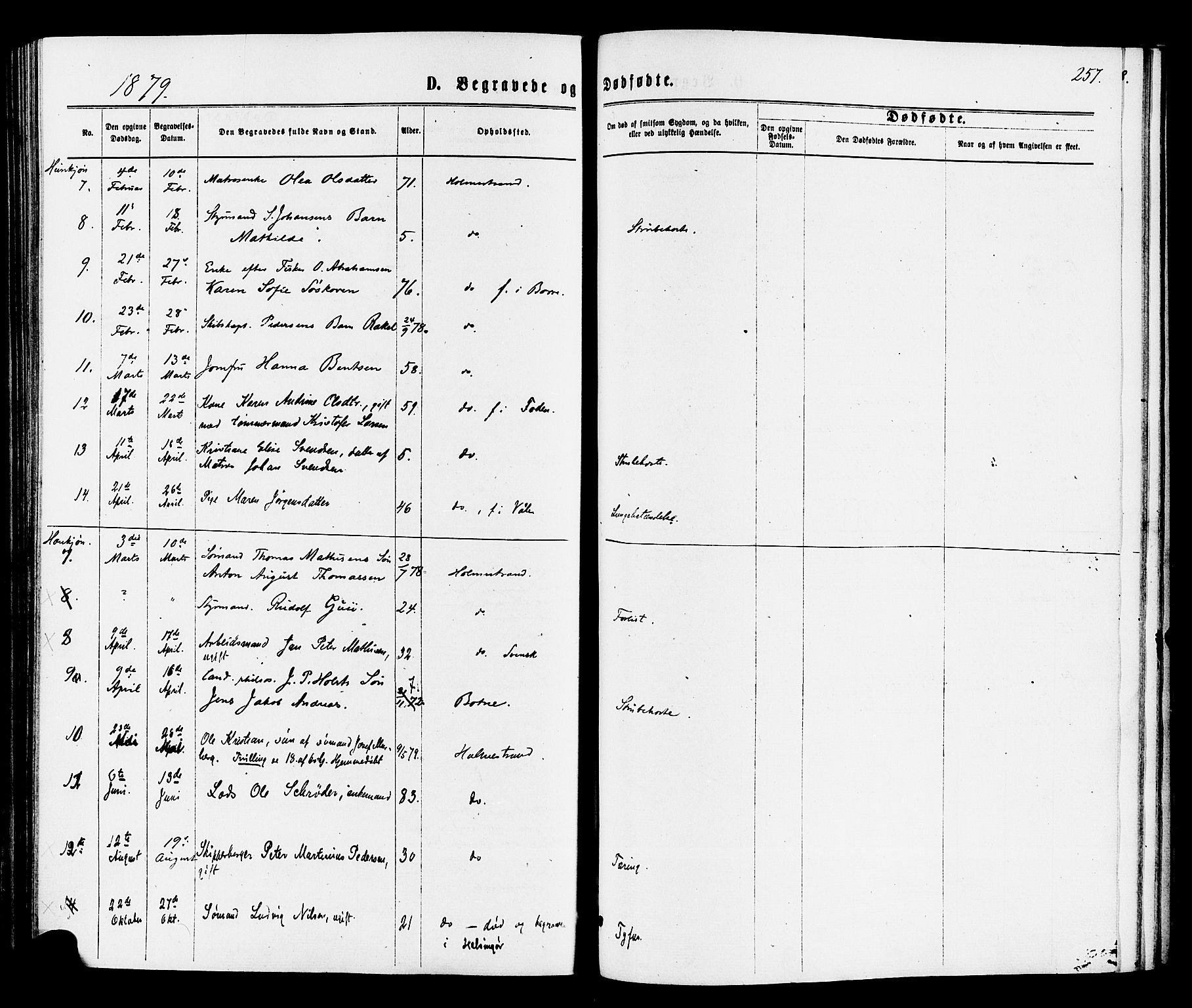 Holmestrand kirkebøker, AV/SAKO-A-346/F/Fa/L0003: Parish register (official) no. 3, 1867-1879, p. 257